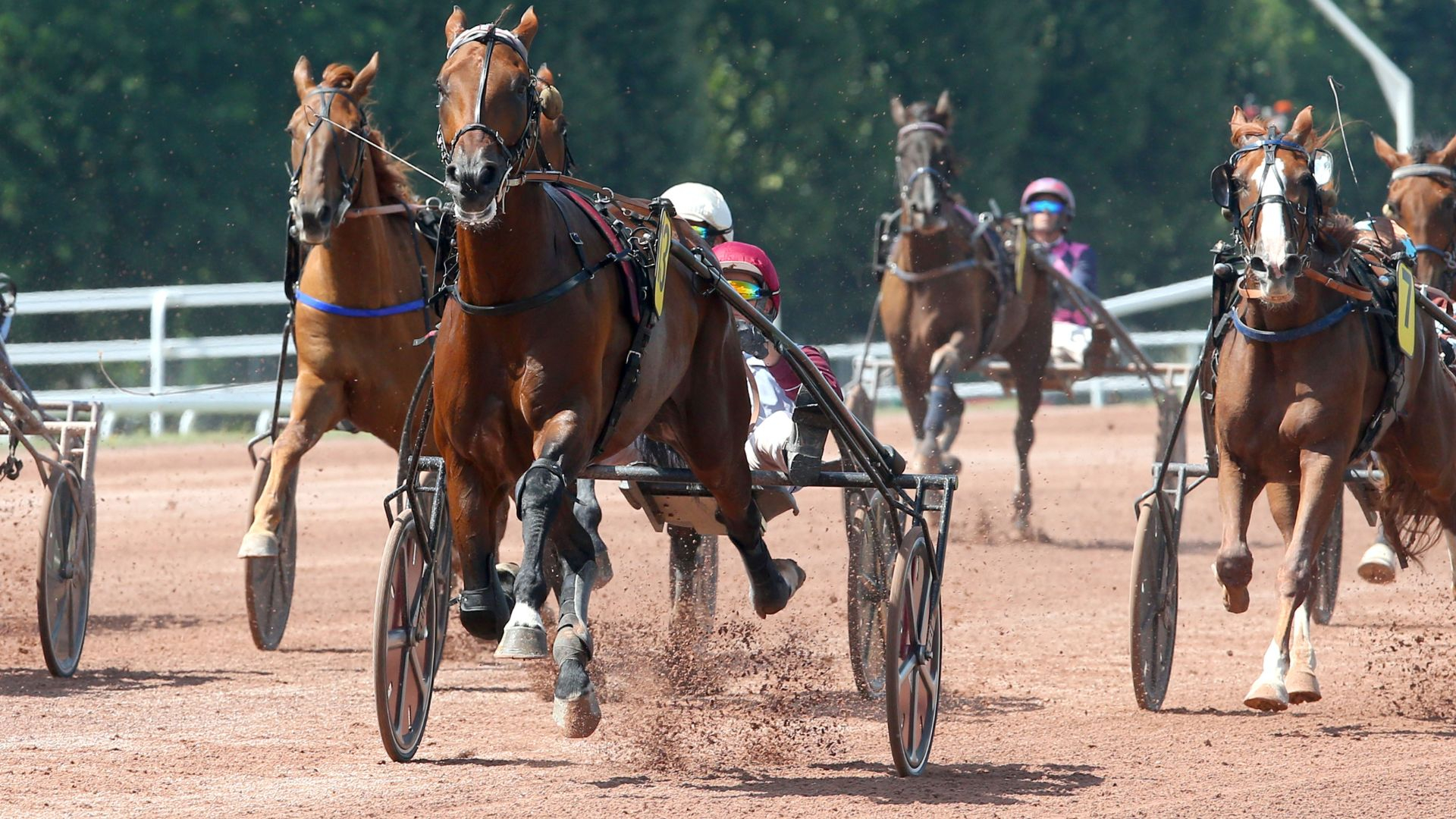 Koctel du Dain, lauréat du Prix Jean-Luc Lagardère 2025 ©Aprh