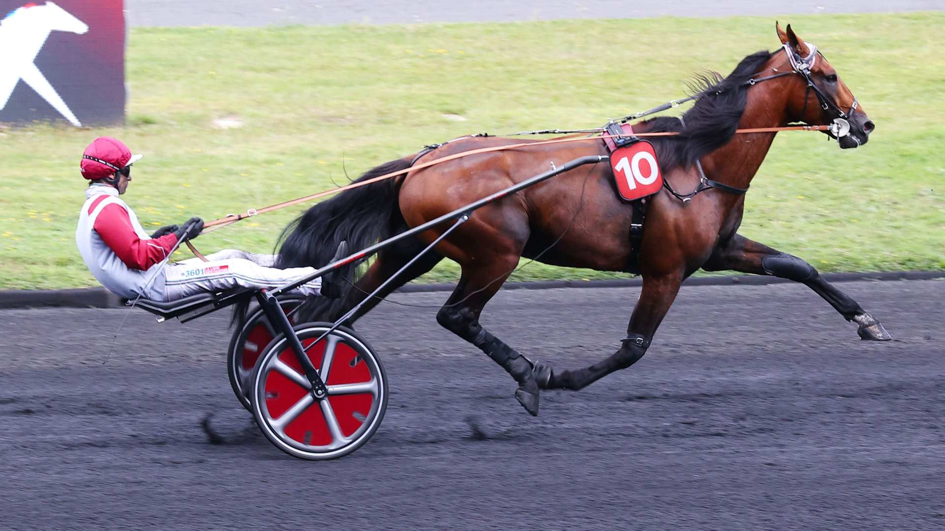 ©Scoopdyga - Koctel du Dain est l'un des plus plébiscités de notre étude