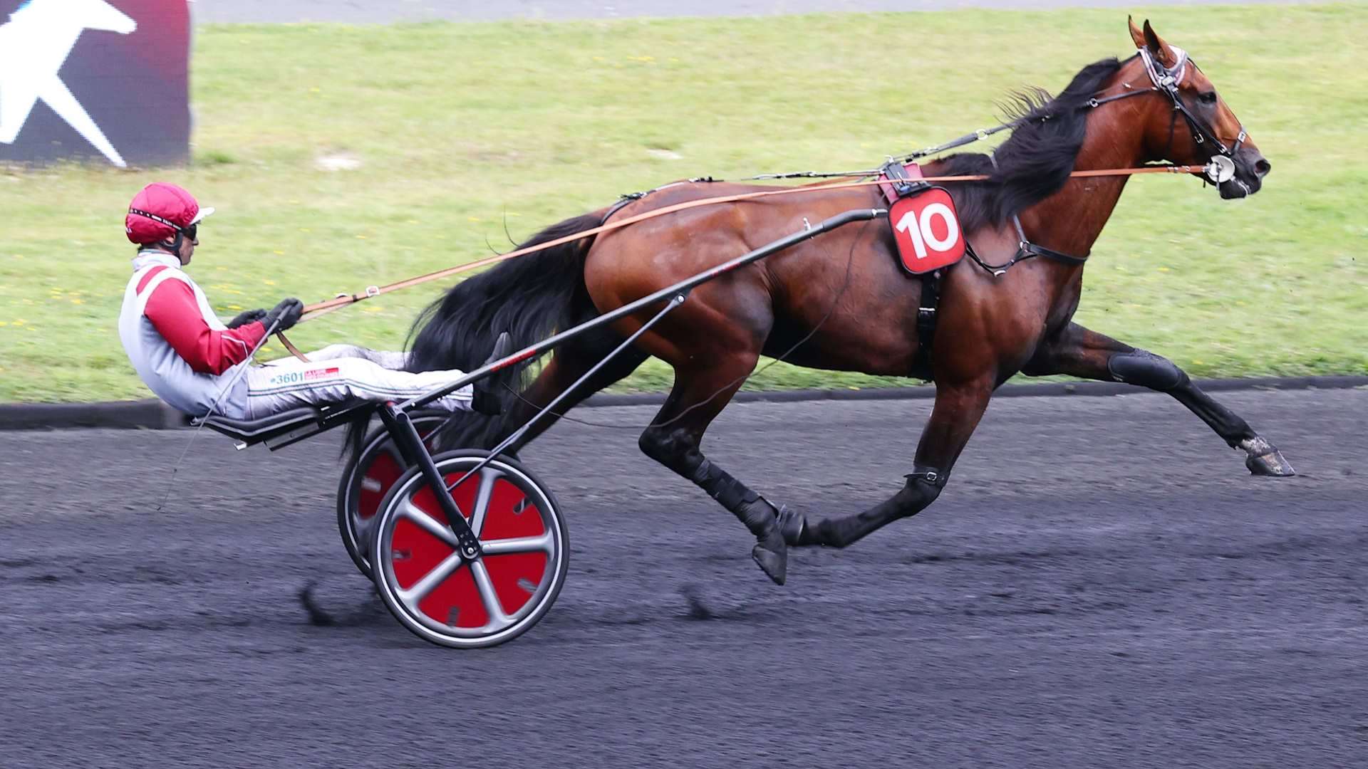 ©Scoopdyga - Koctel du Dain