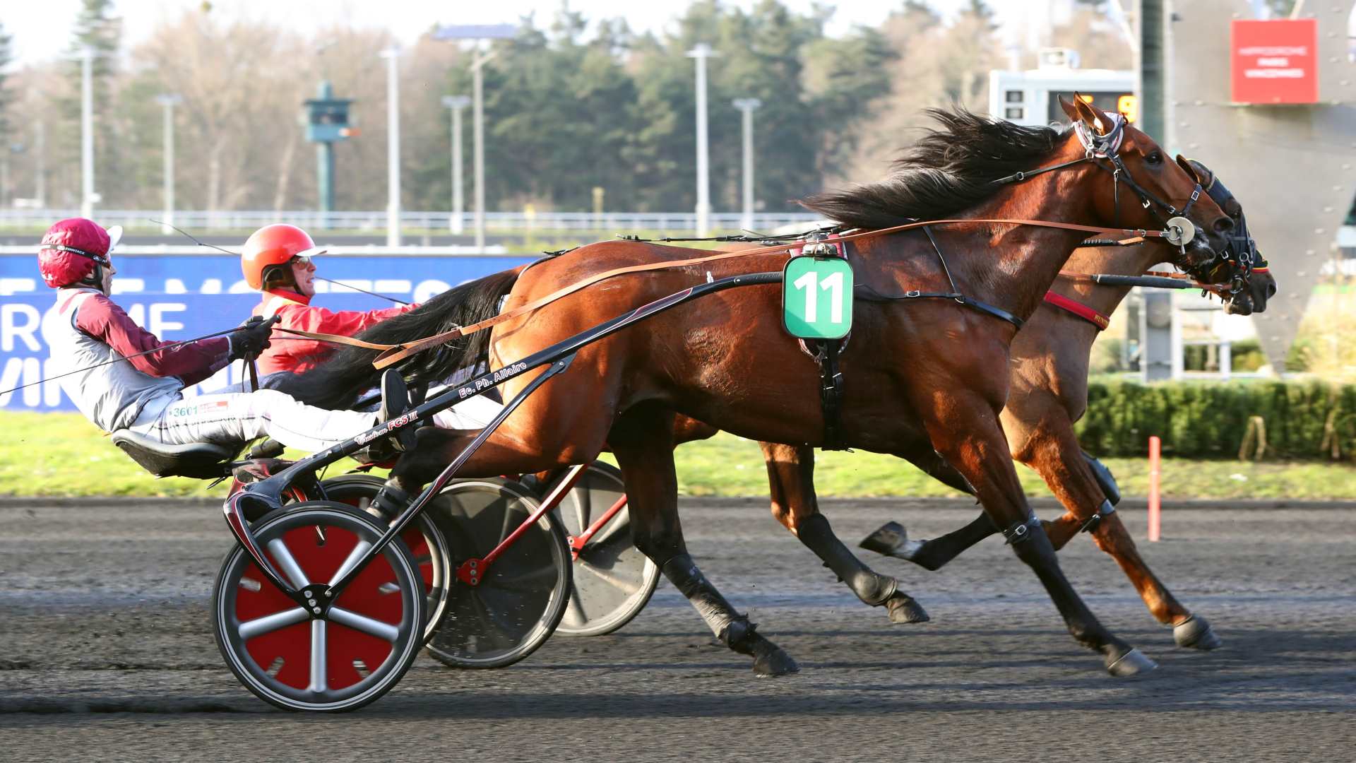 ©Scoopdyga - Koctel du Dain s'impose sur tapis vert en 2023