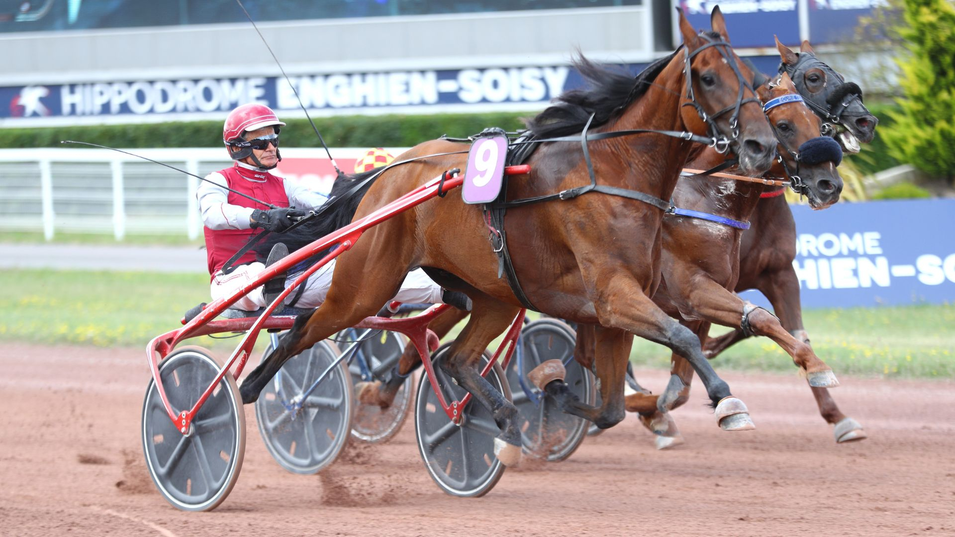 Kong d'Hollow - ©Aprh