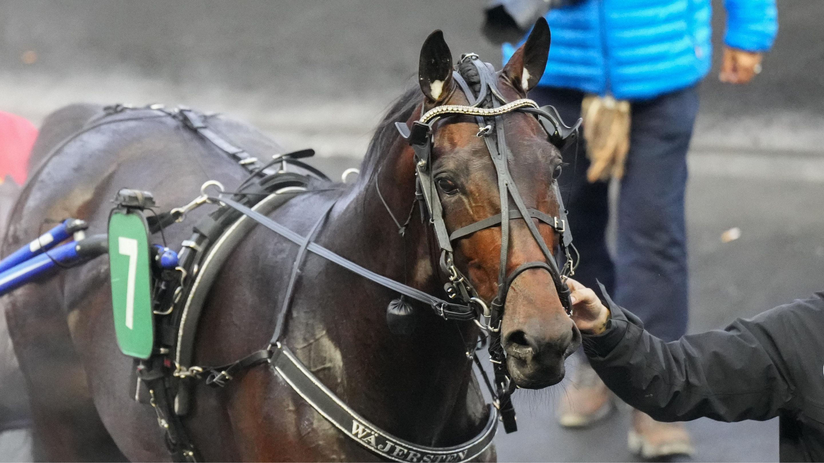 Kuiper à Vincennes cet hiver - © ScoopDyga