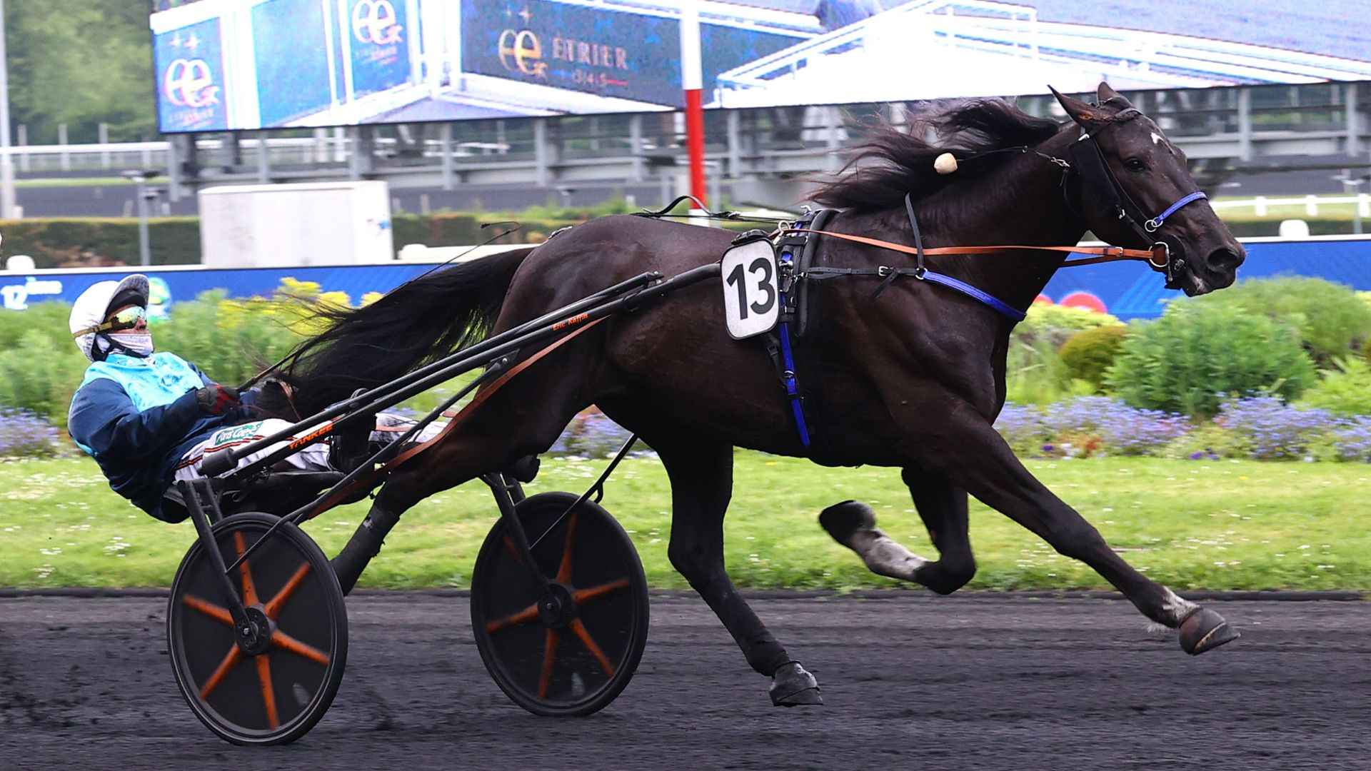 Lancelot Griff - © ScoopDyga