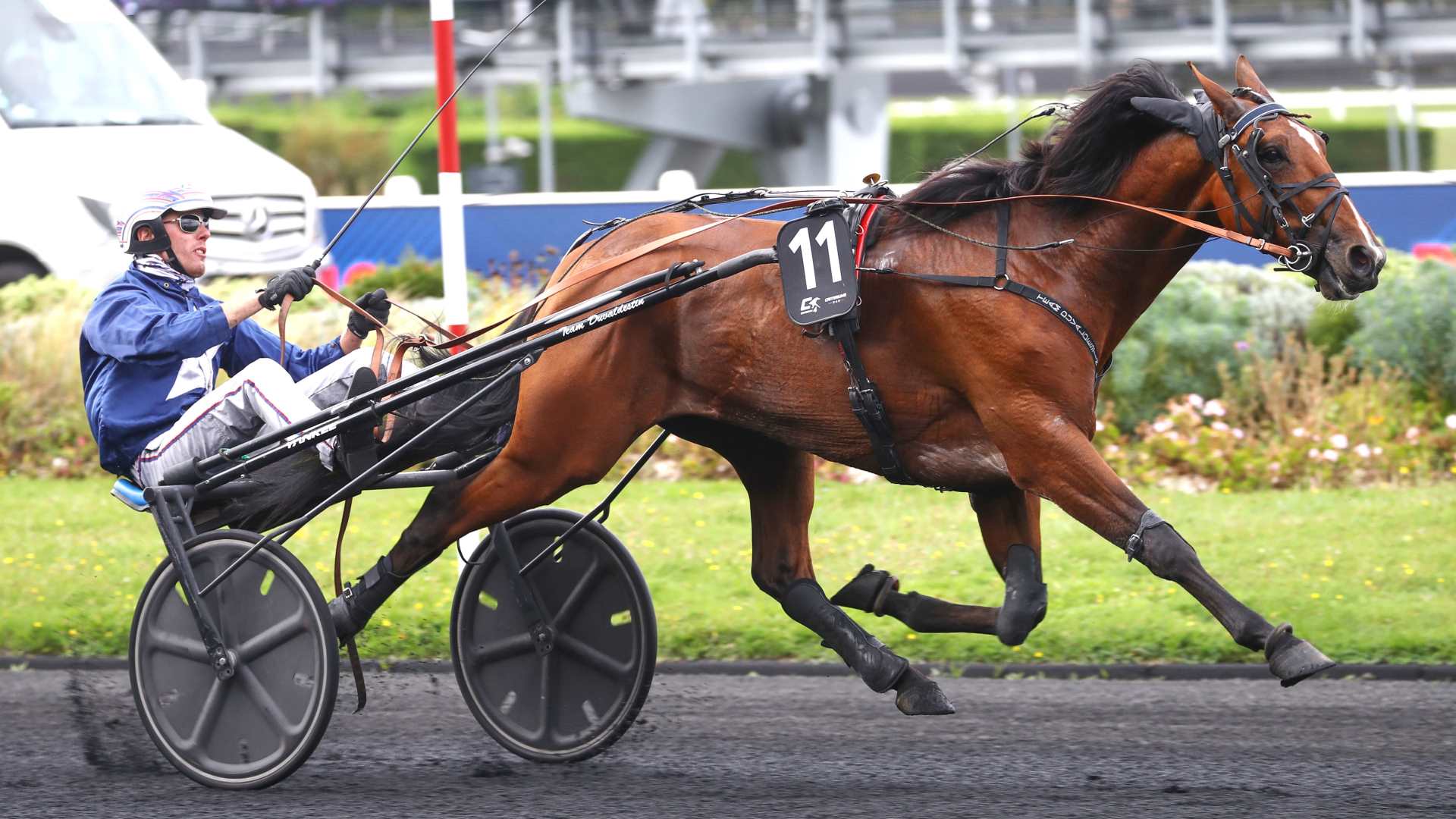 Lancier du Goutier