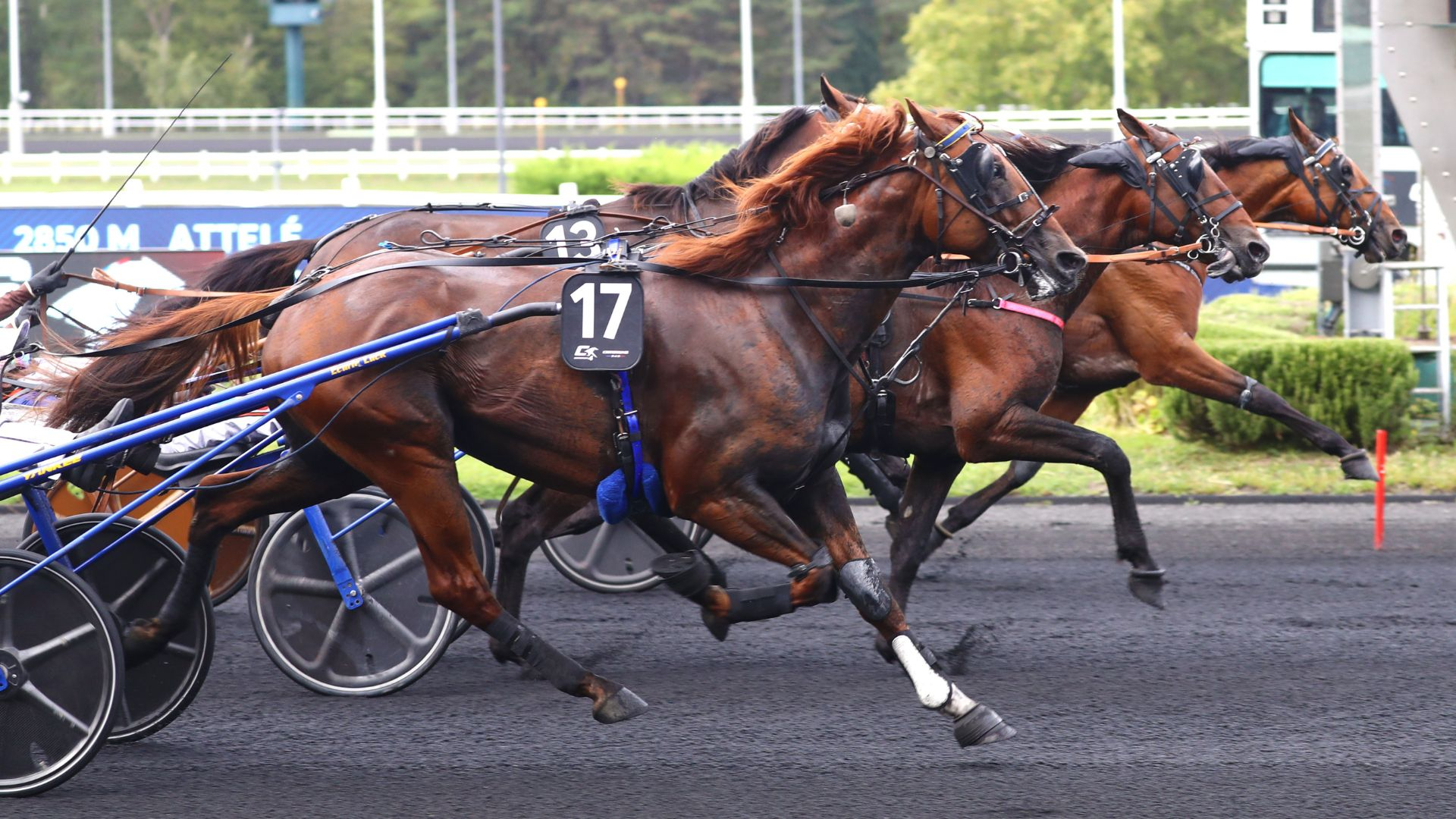L'arrivée ultra serrée avec Lancier du Goutier à la corde - © ScoopDyga