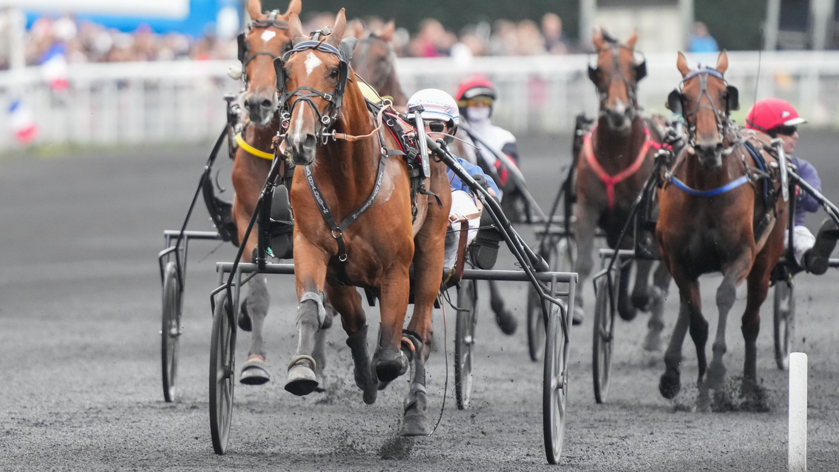 Lancier du Goutier - © Aprh