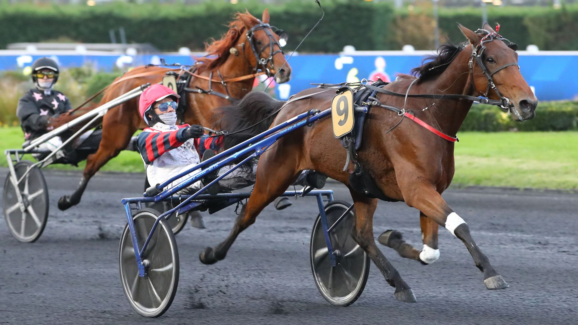 Laroze du Gers - © Aprh