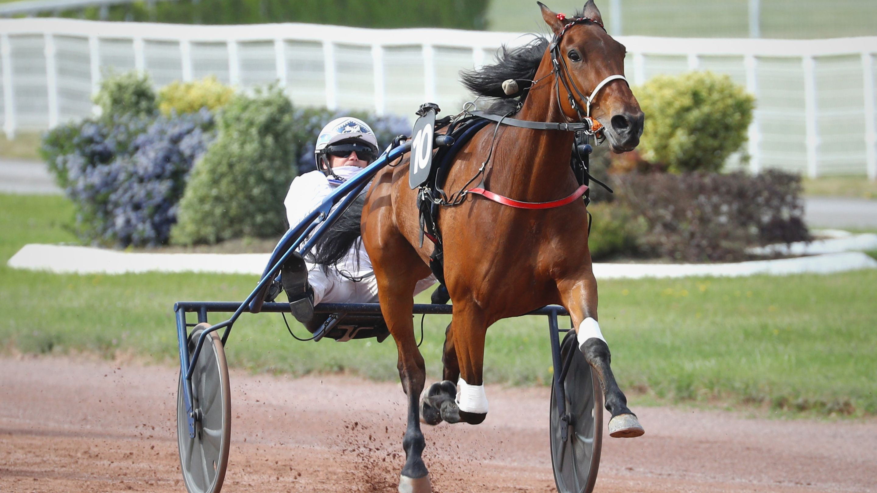 Laroze du Gers - © Aprh