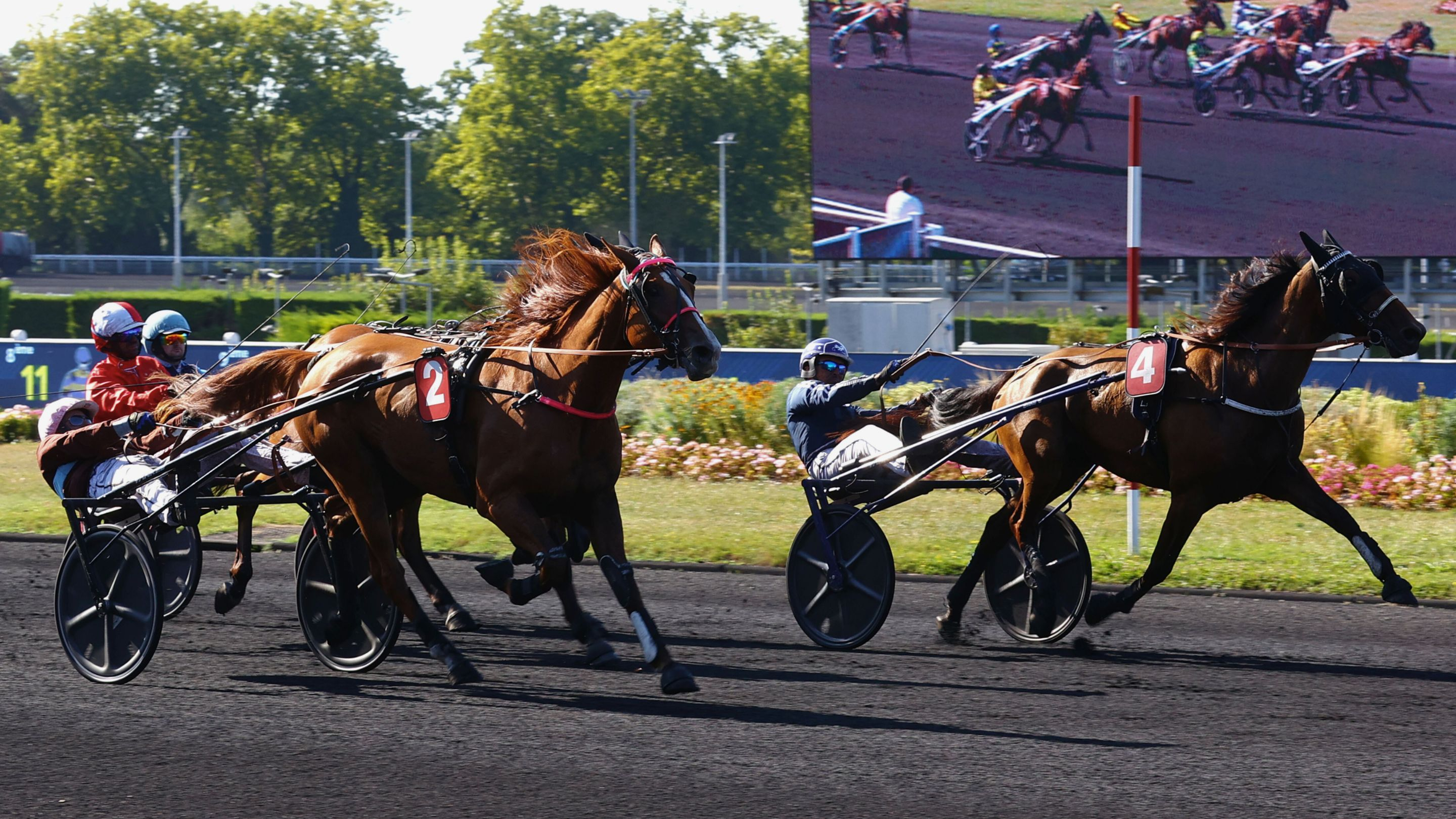 Leader Meslois - Le Bolide