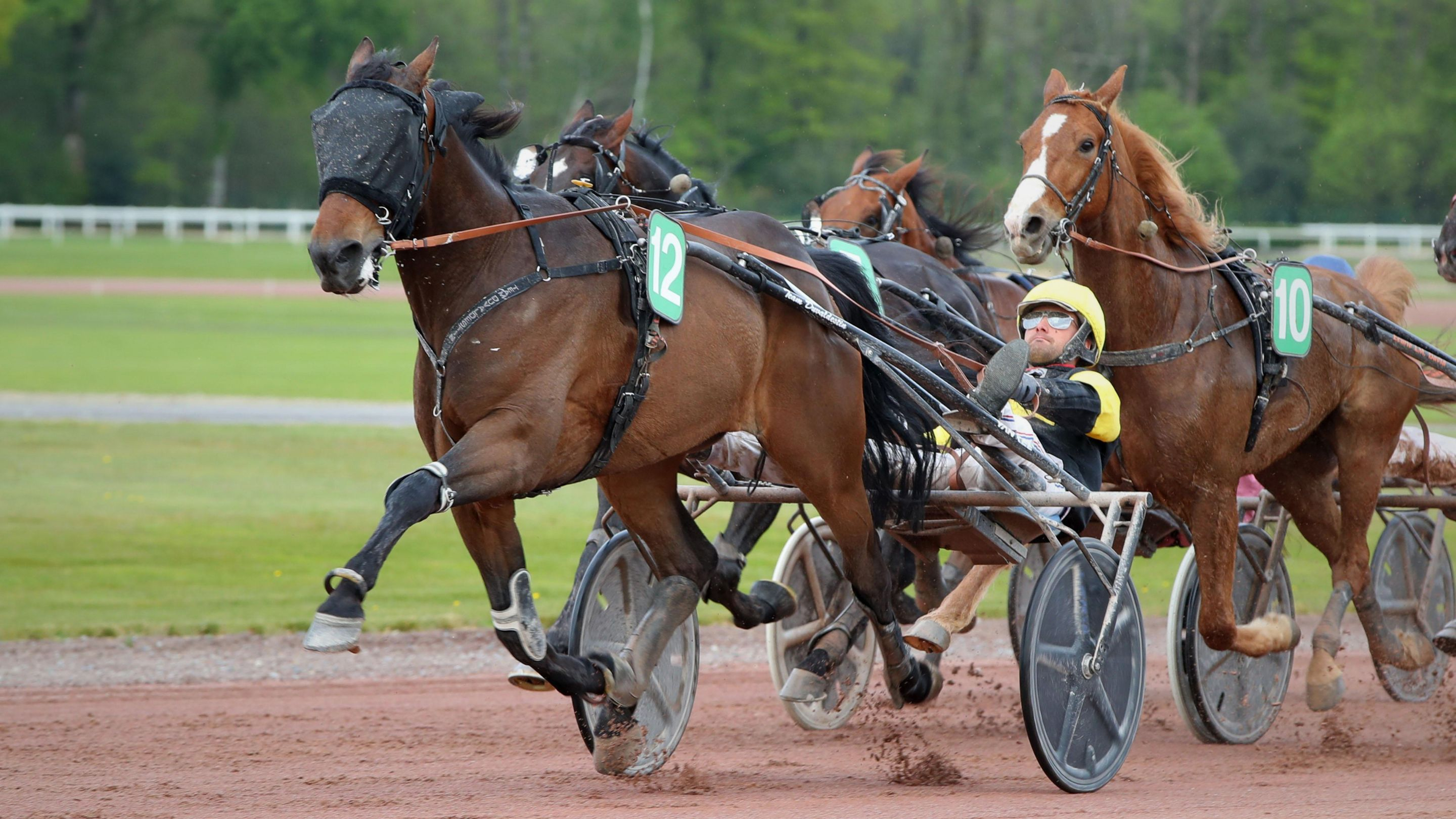 Lezzo Fighter - © ScoopDyga