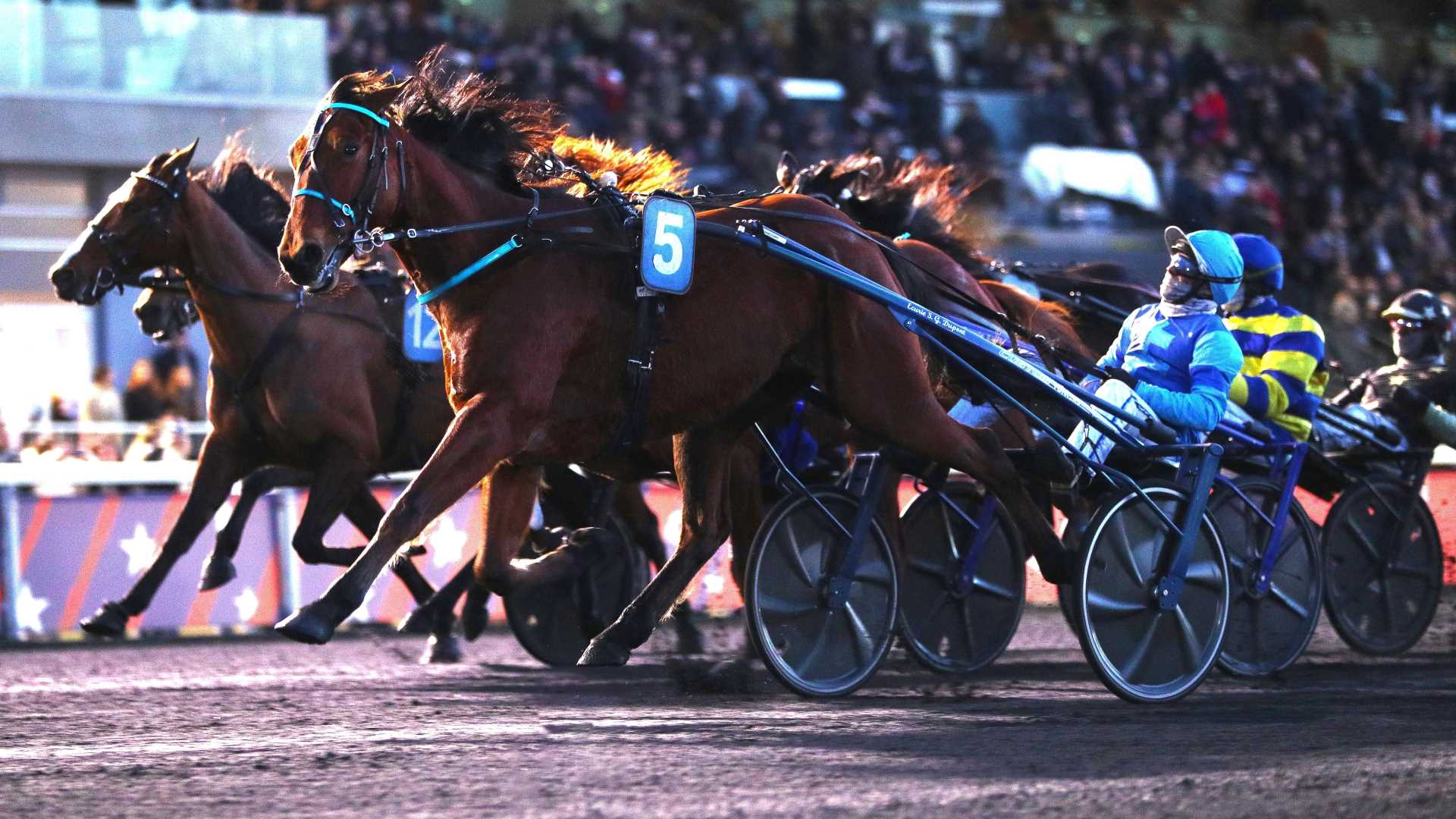 ©Scoopdyga - Liberté de Choisiel lors de sa victoire dans le Prix Bold Eagle