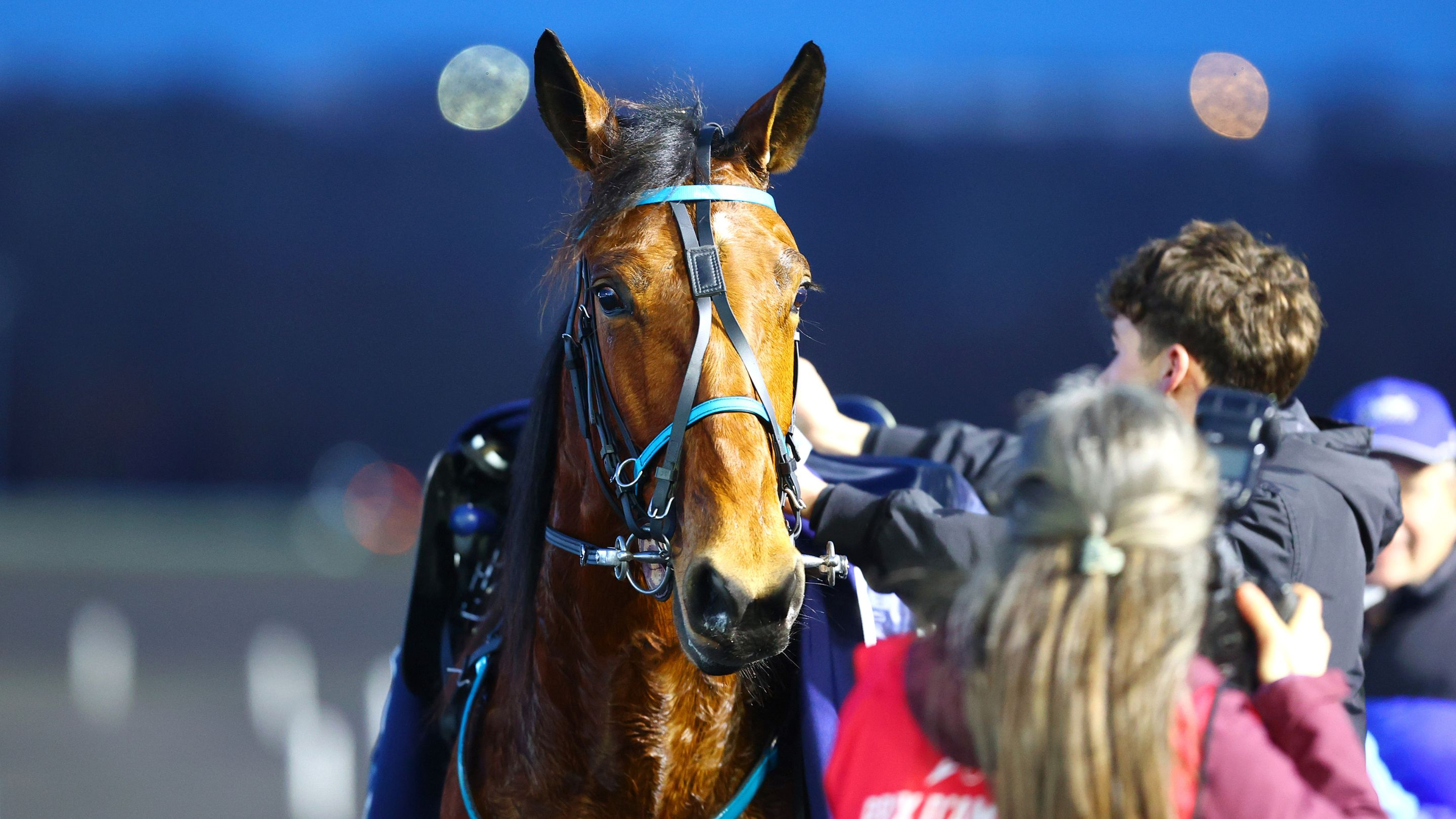 Liberté de Choisel - © Aprh
