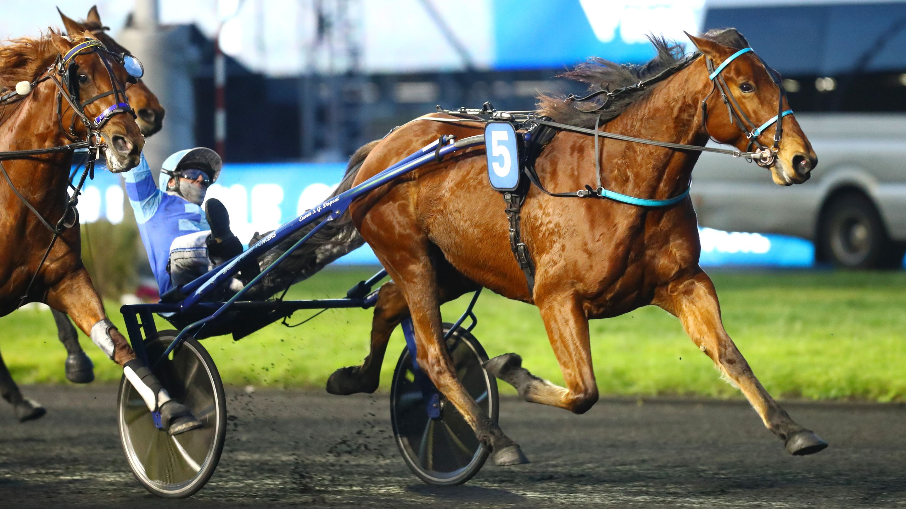 Liberté de Choisel, la lauréate du Prix Bold Eagle - © Aprh