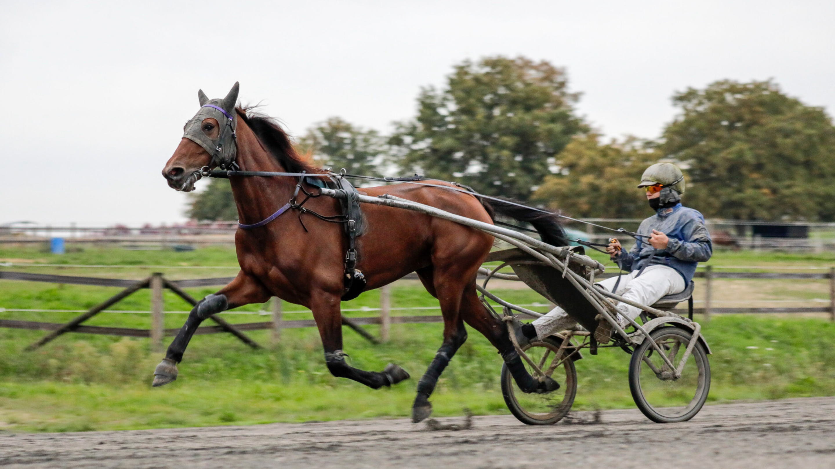 Lilas Castelle à l'exercice avec Tom Beauvais - © P. Lefaucheux / PC