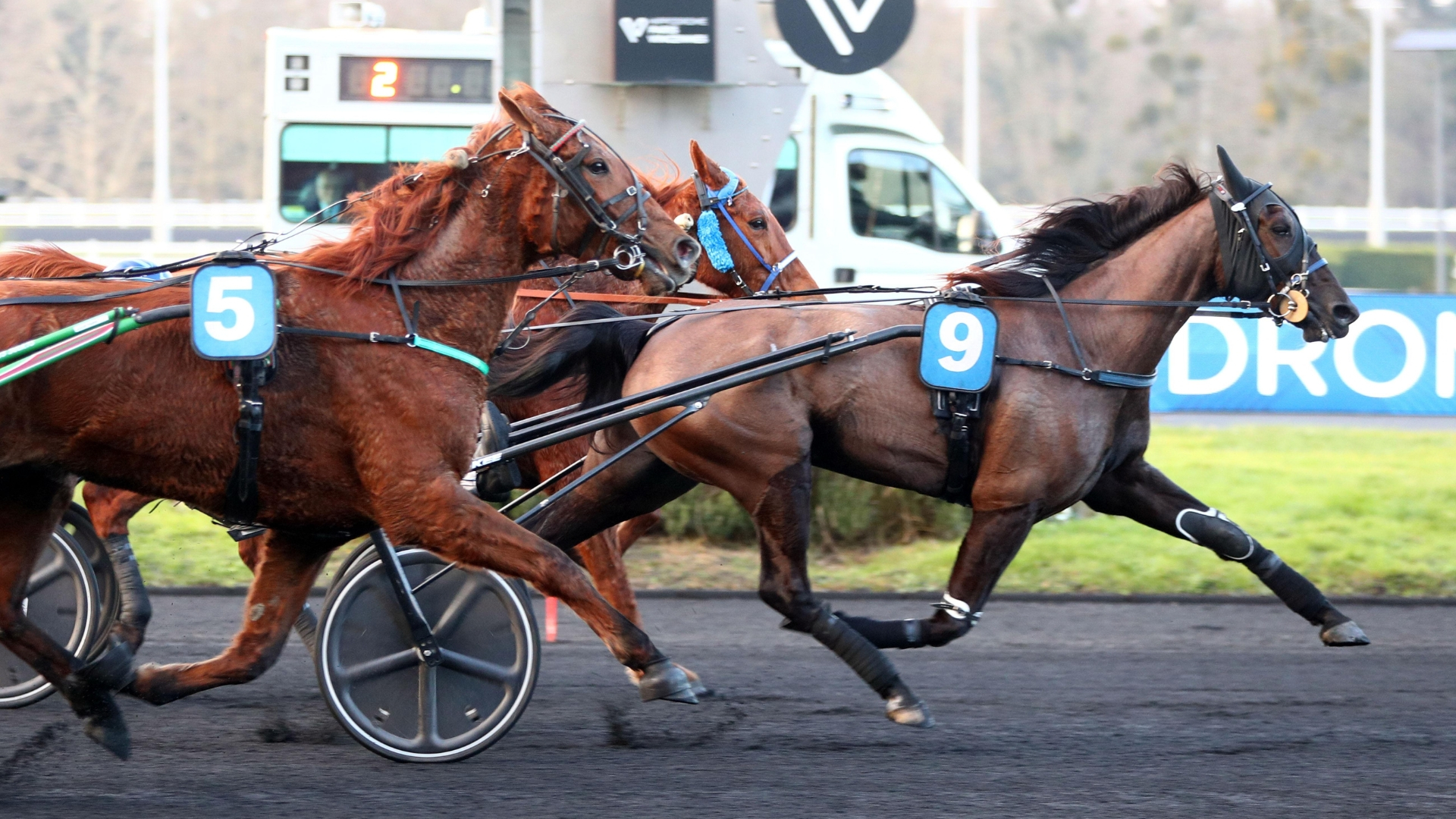 Littleton Landing (9) finit le plus vite au centre - © ScoopDyga