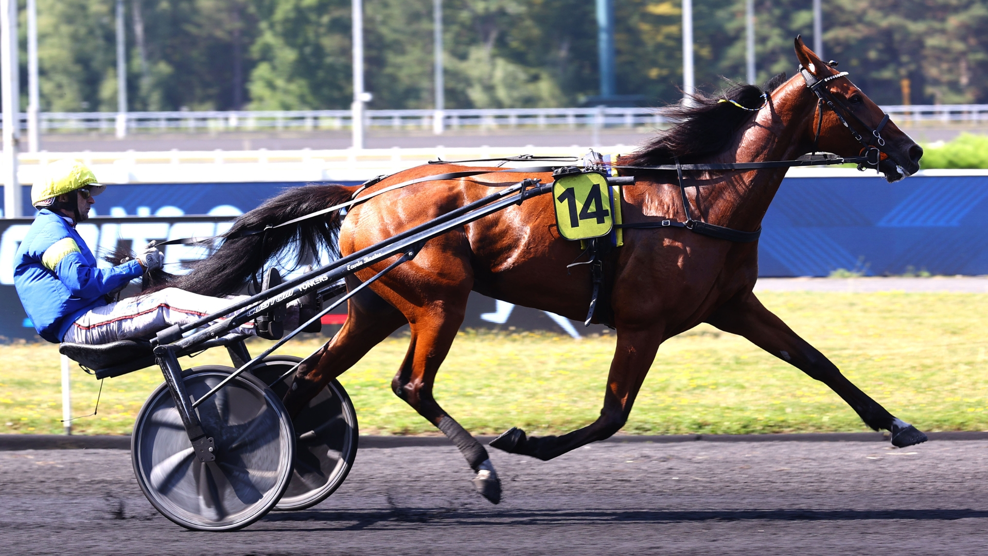 Une victoire en solitaire - © ScoopDyga