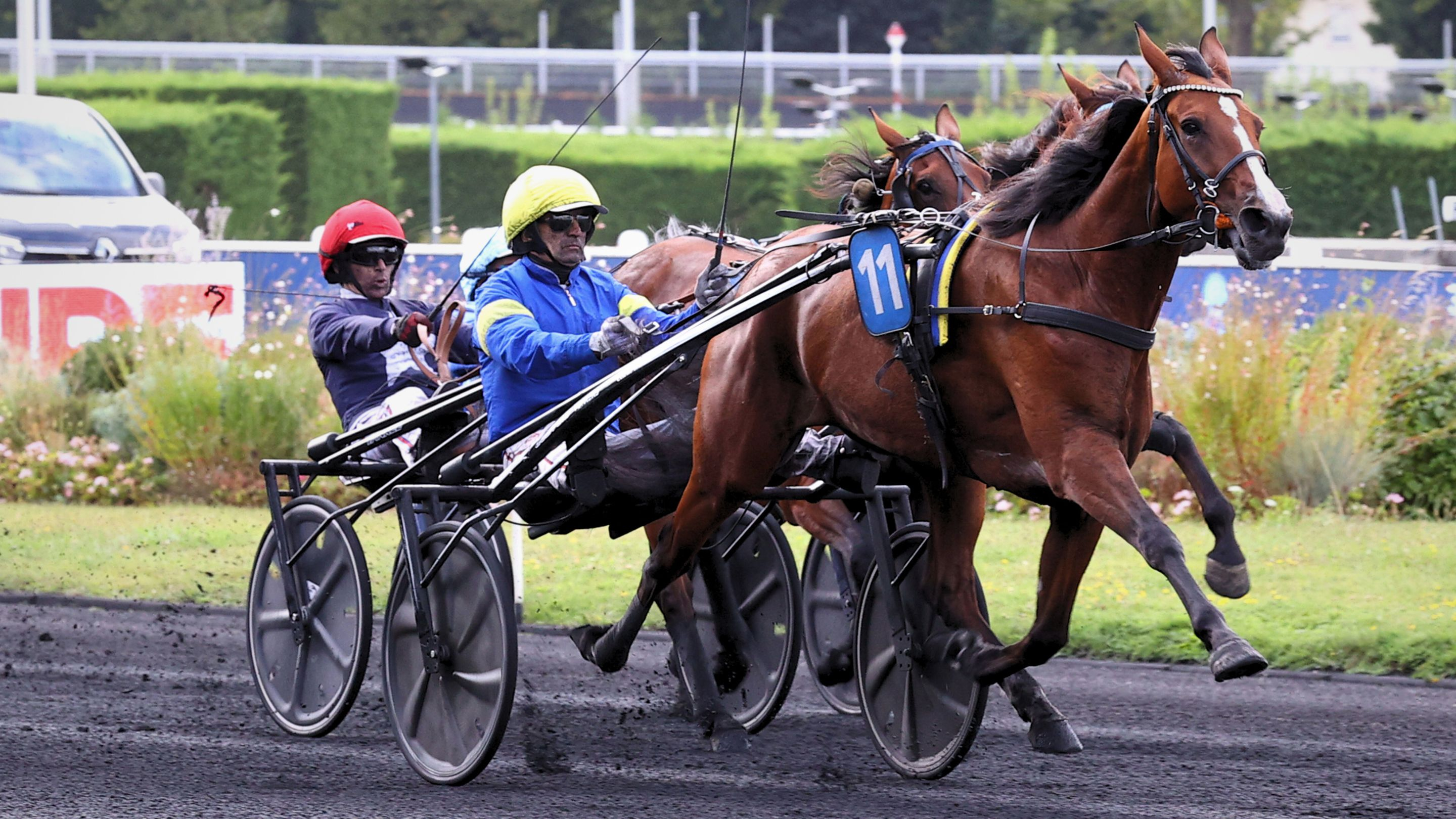 Liza Josselyn - © Aprh