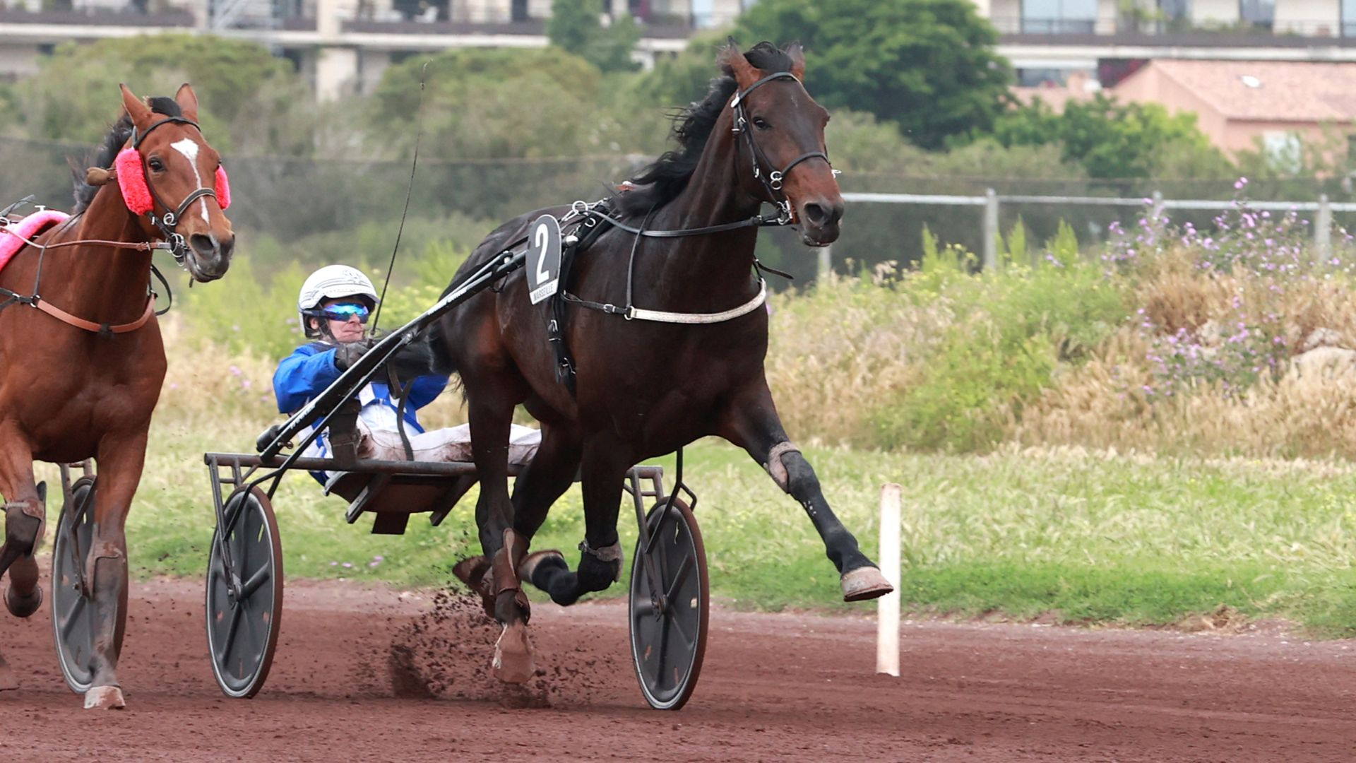 London Recall - © Ag. Couleur Casaques