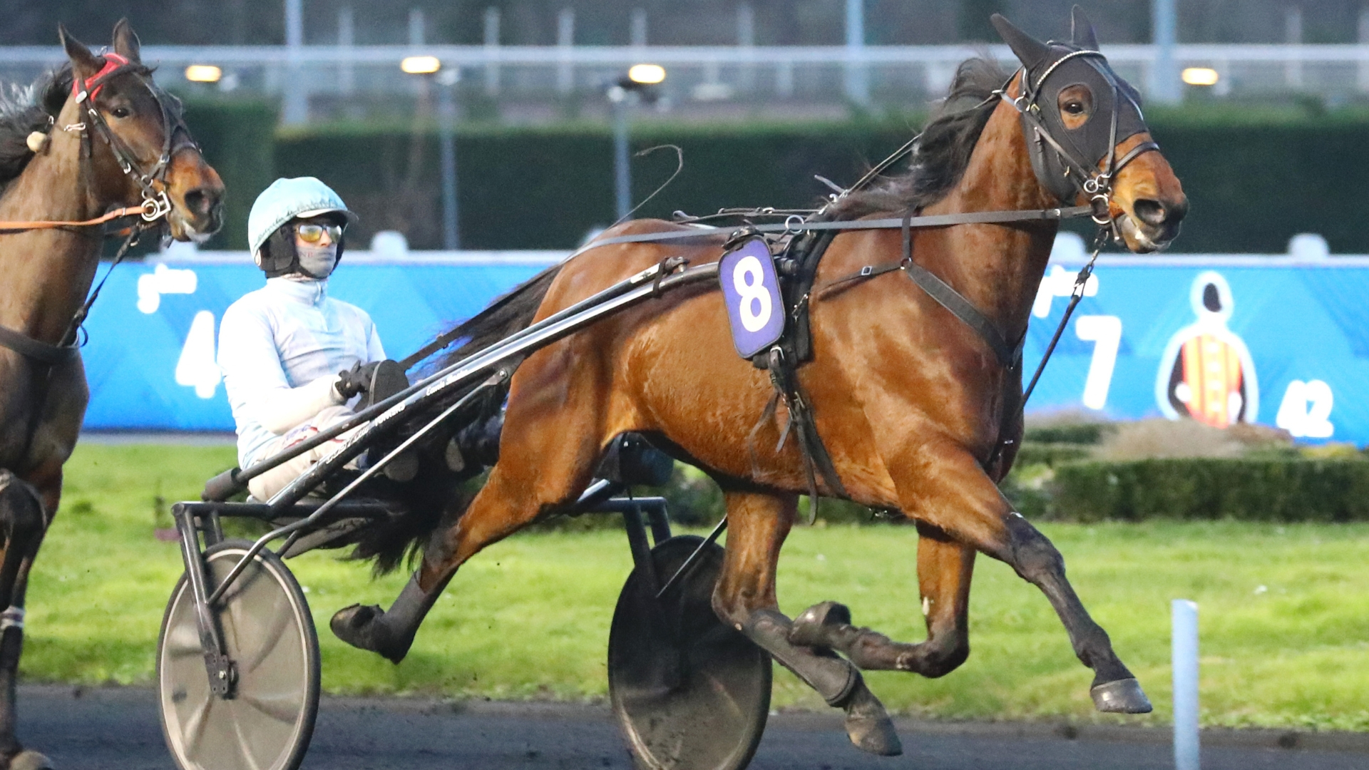 Lord Délo - © Aprh