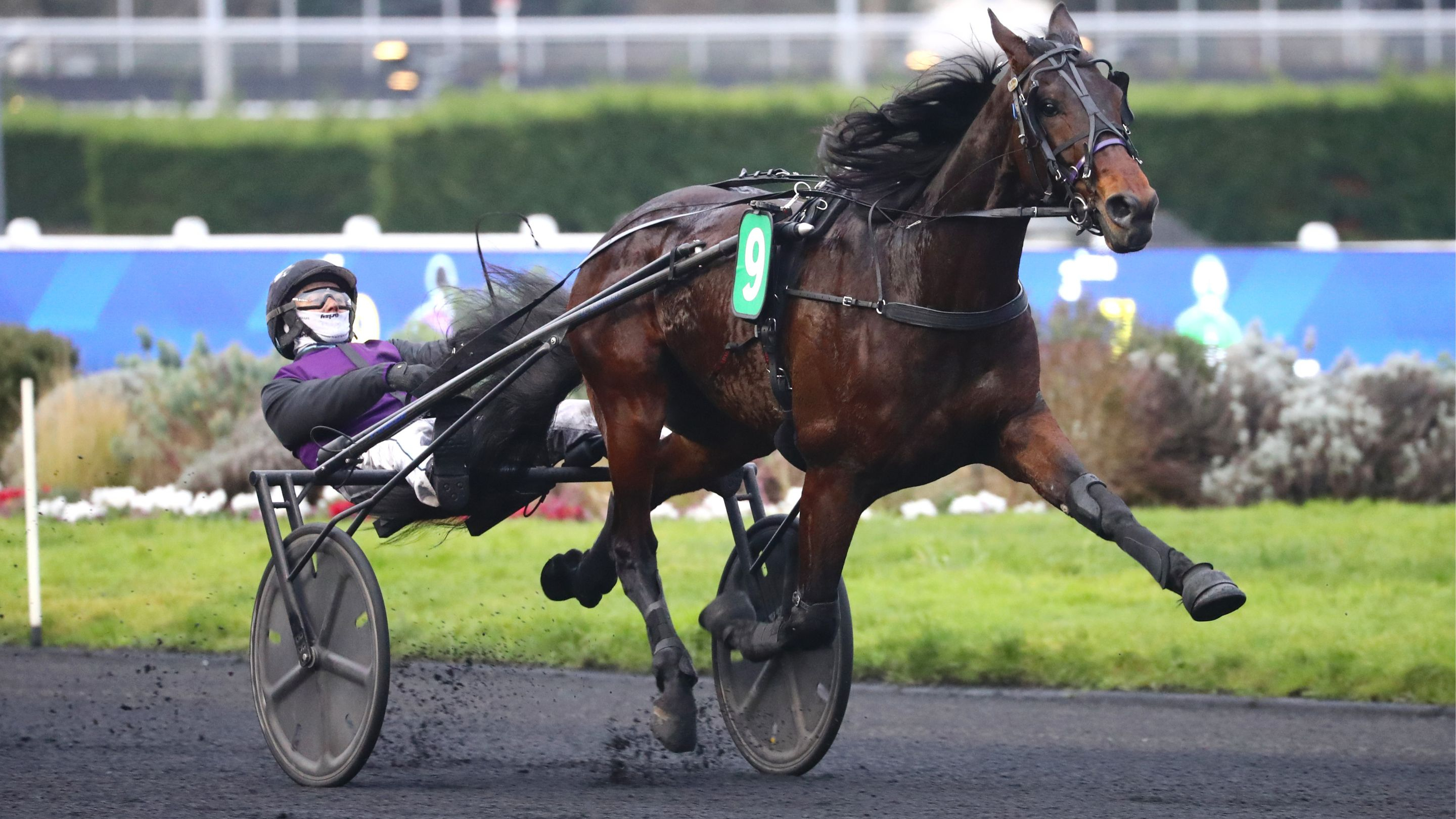 Lord du Bassin enchaîne un second succès de suite - © Aprh