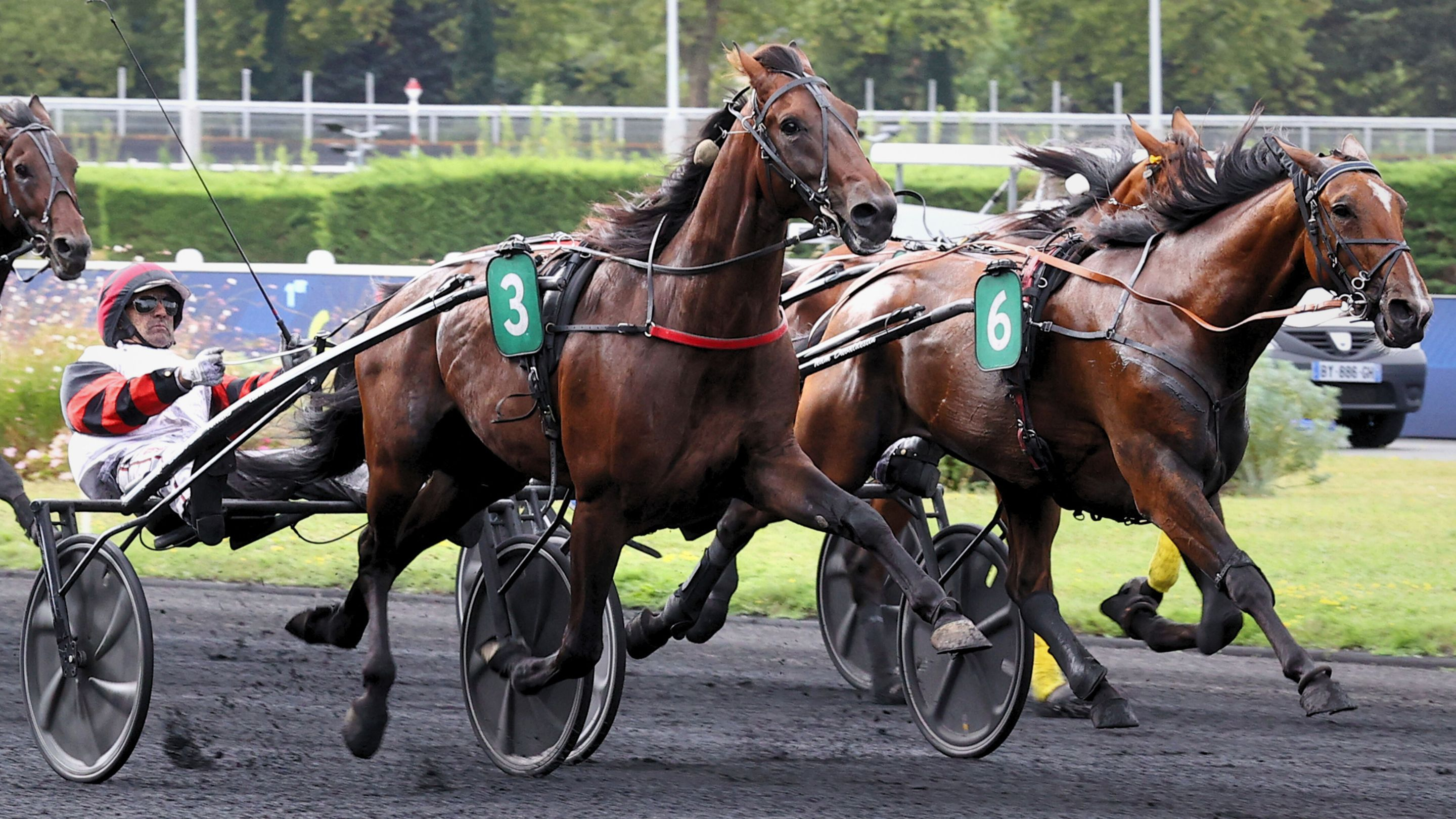 Lord du Gers - Lancier du Goutier
