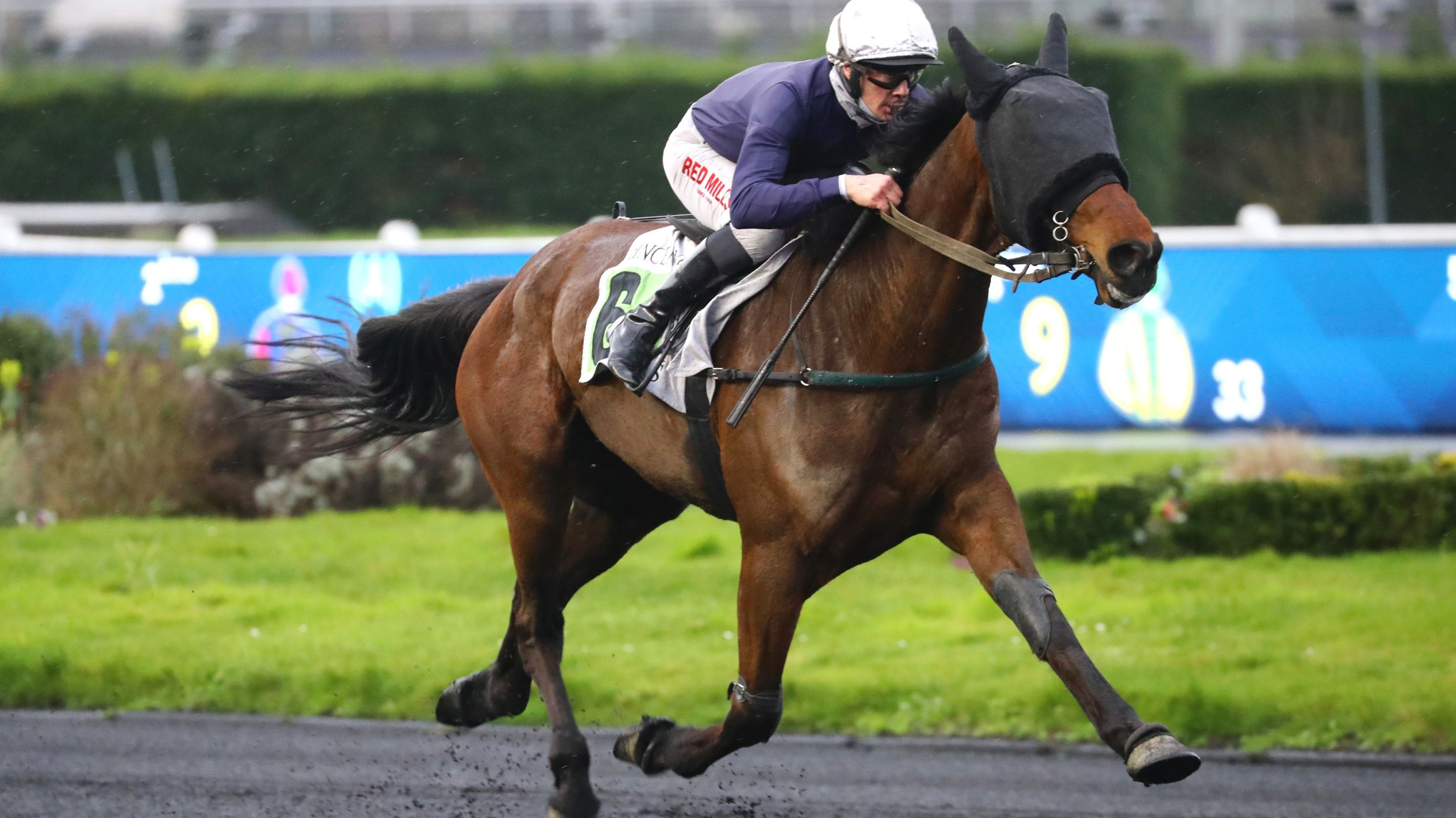 Lord Fromentro lors de son dernier succès - © Aprh