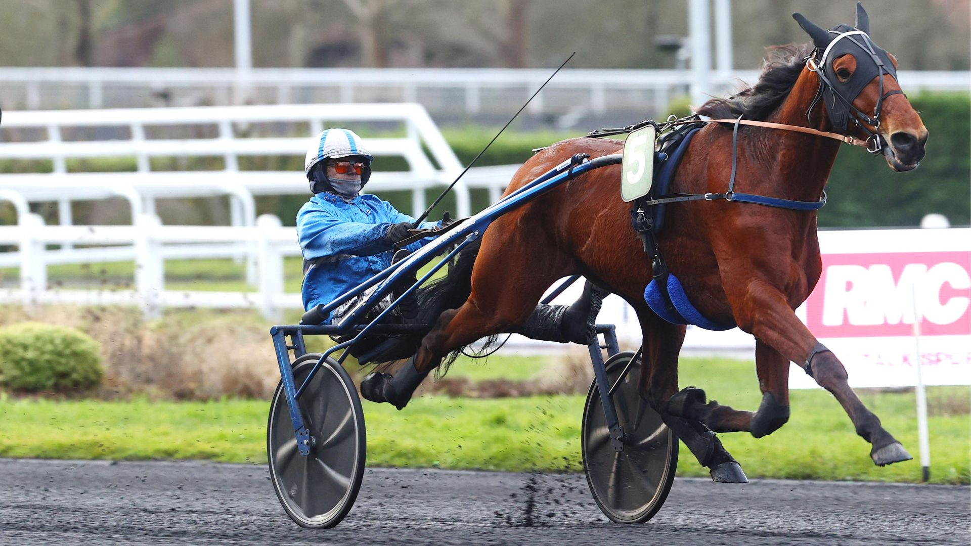 Lord Turgot - ©Scoopdyga