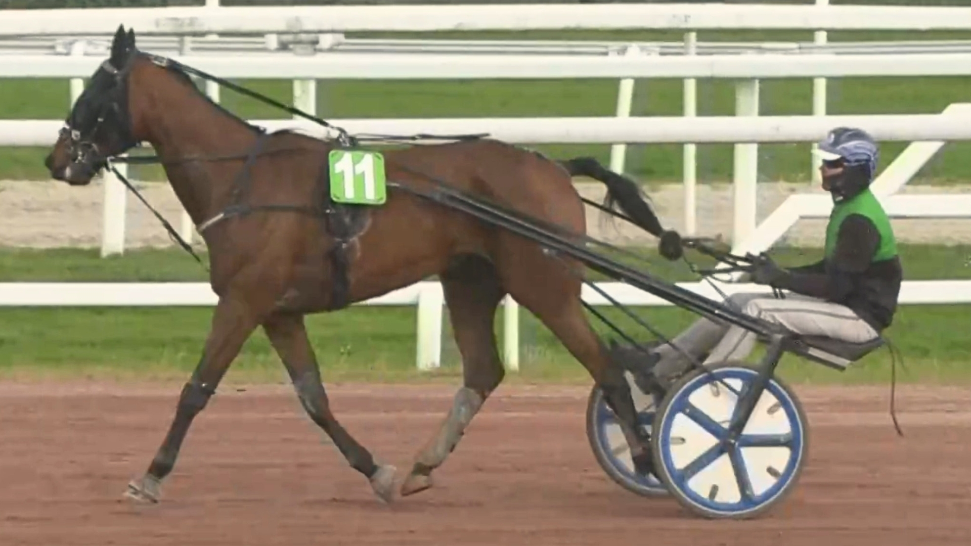 Lorky Red après son succès du jour - © Equidia