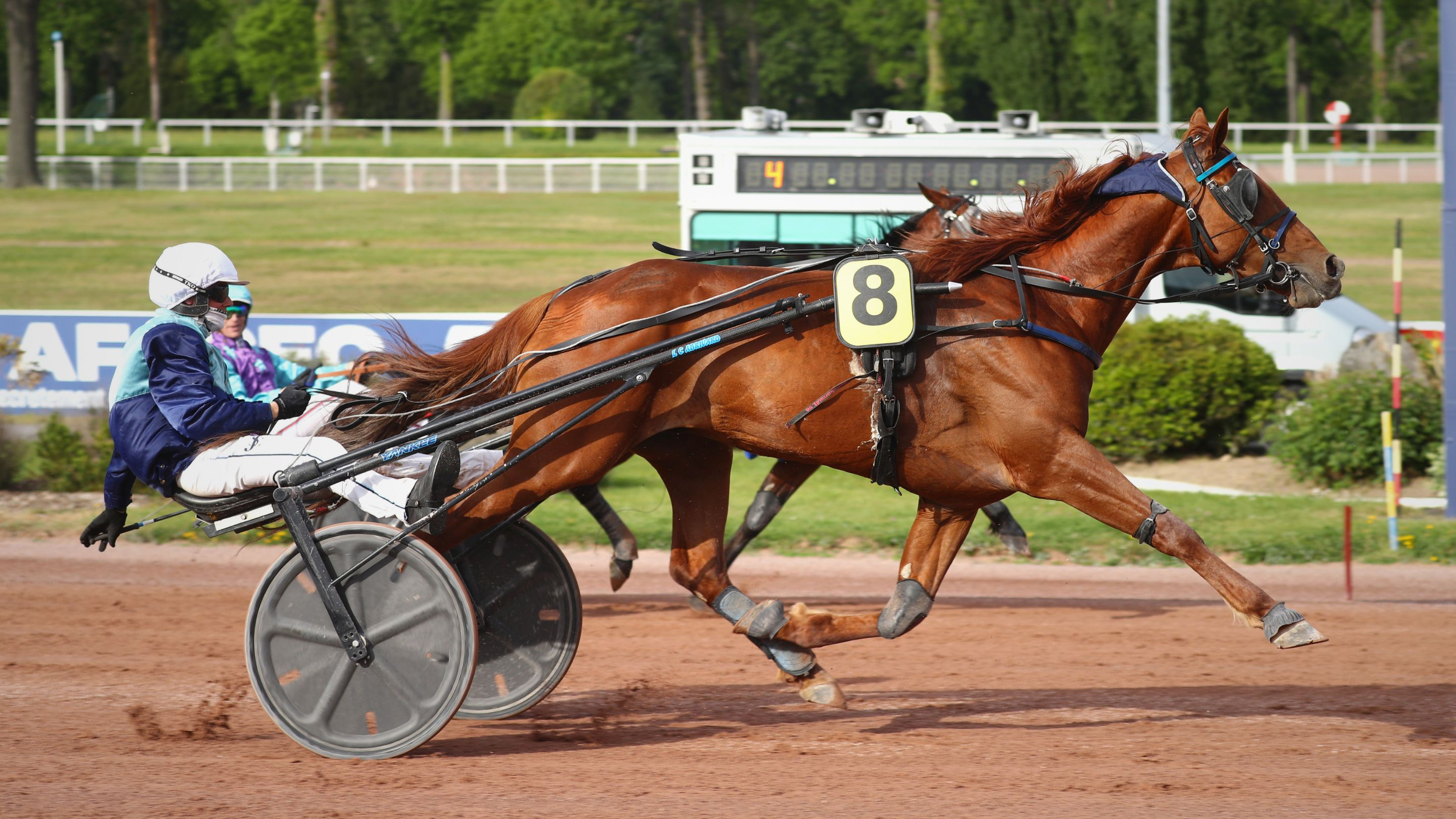 Lotus Griff masque presque complètement Lewis River - © Aprh