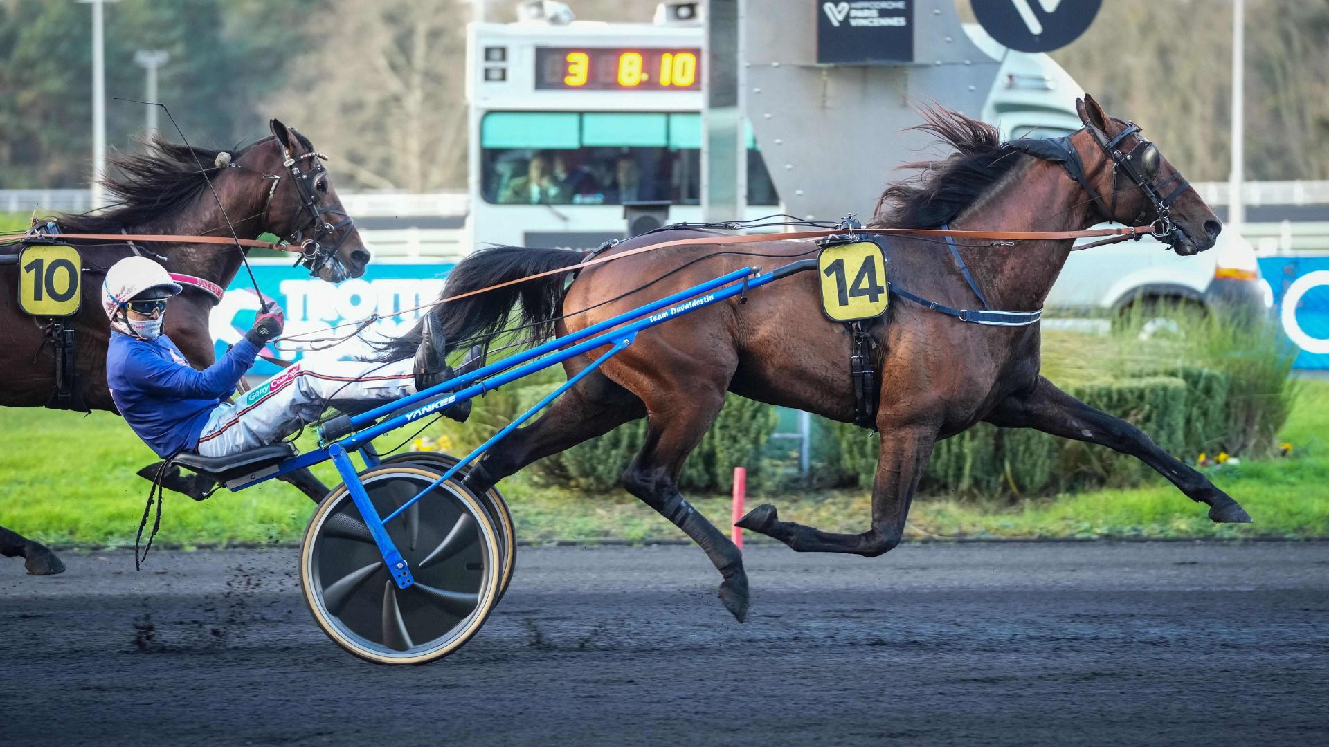 Lovino Bello - ©Scoopdyga