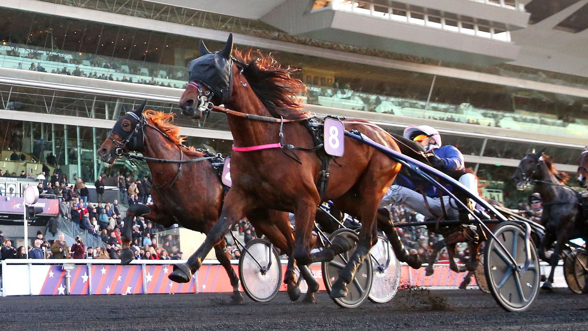 Lovino Bello et Lombok Jiel - ©Aprh