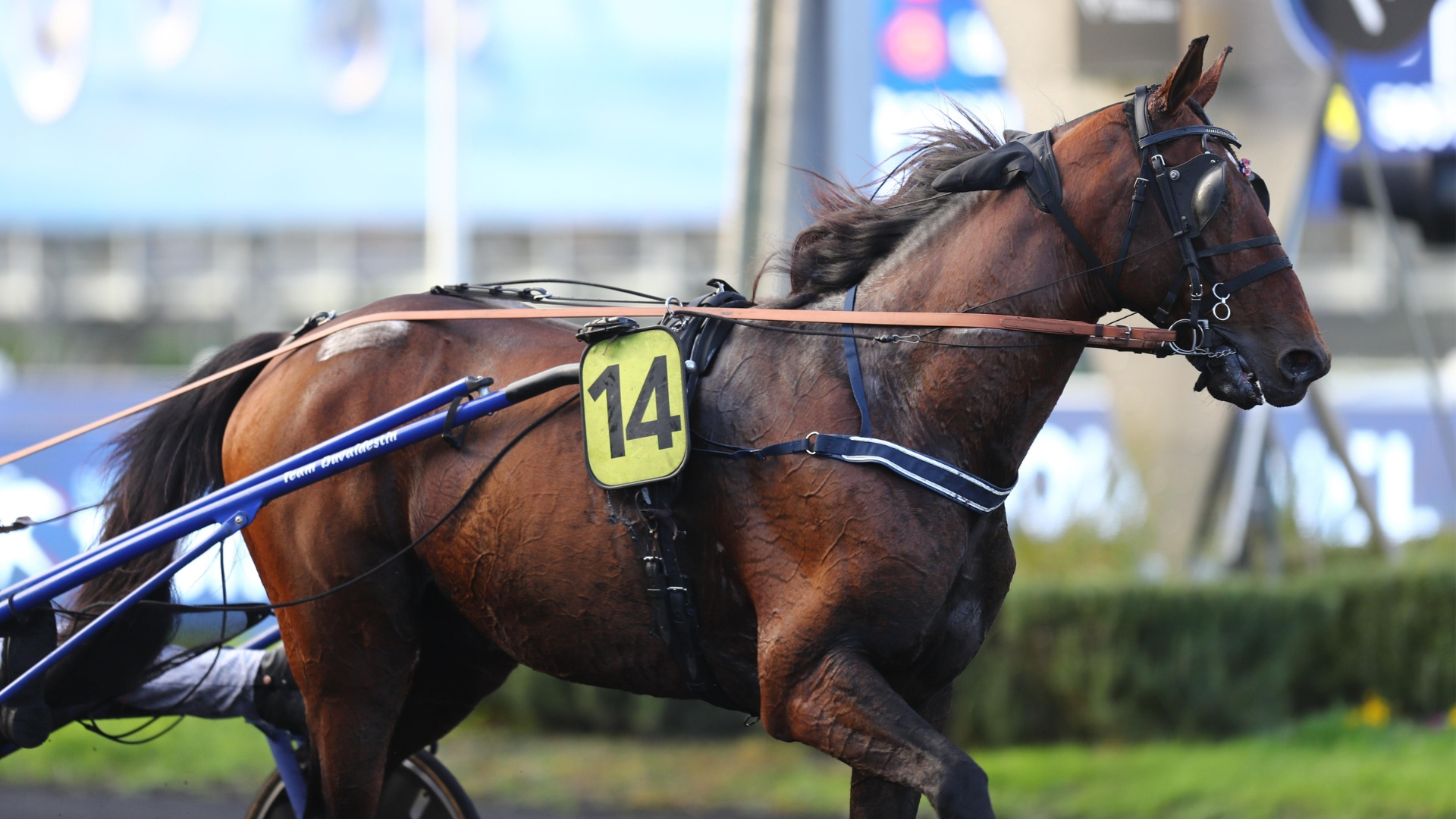 Lovino Bello, très attendu dans la Q3 - © ScoopDyga