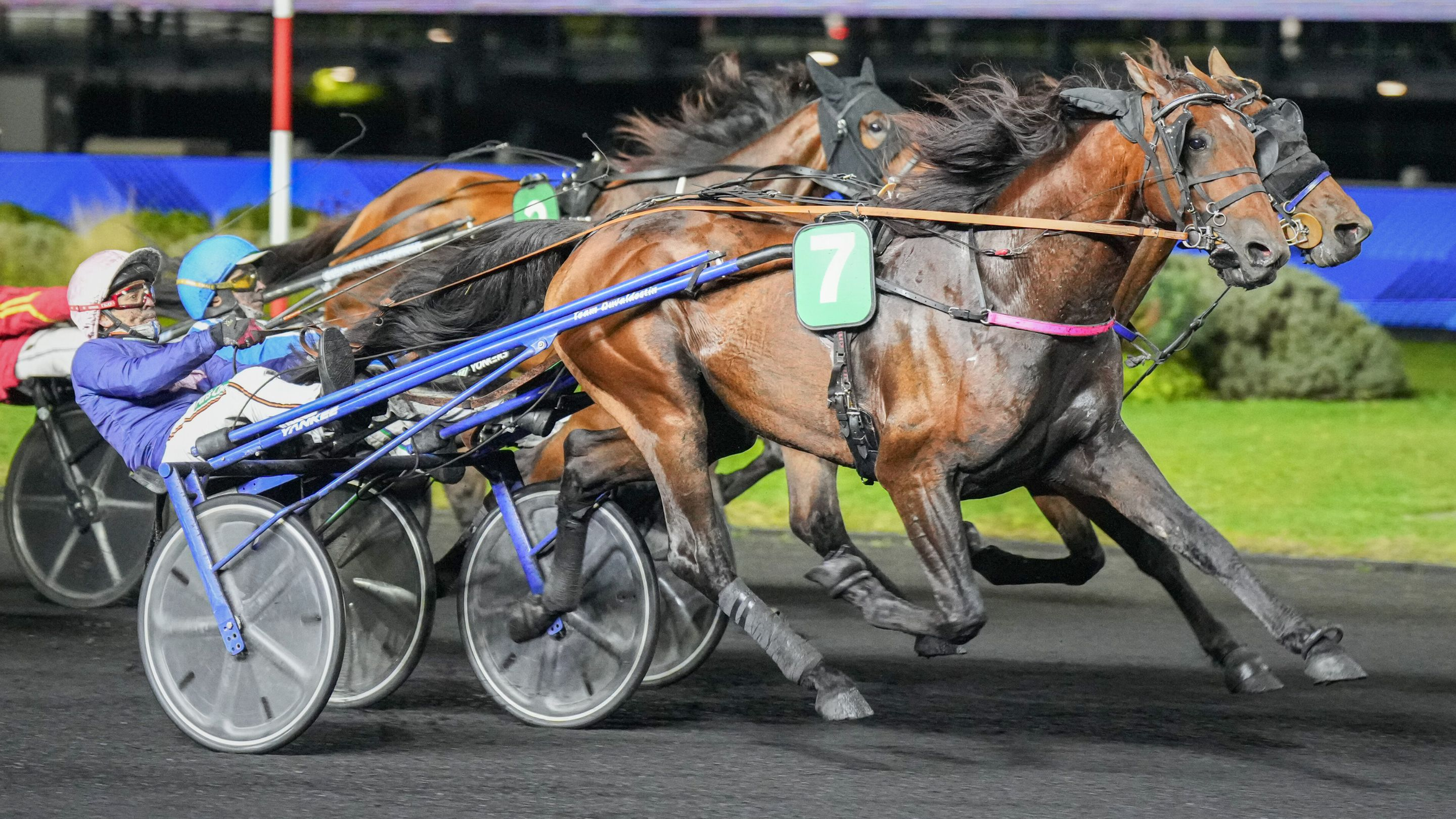 Lovino Bello - © ScoopDyga