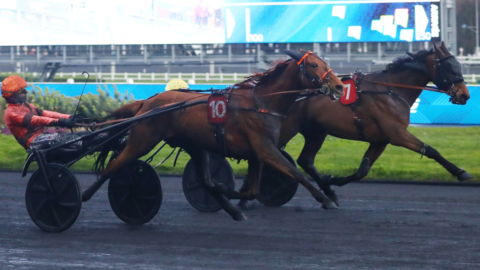 Loyal du Choquel (10) prend le meilleur sur Lezzo Fighter (7) - © Aprh