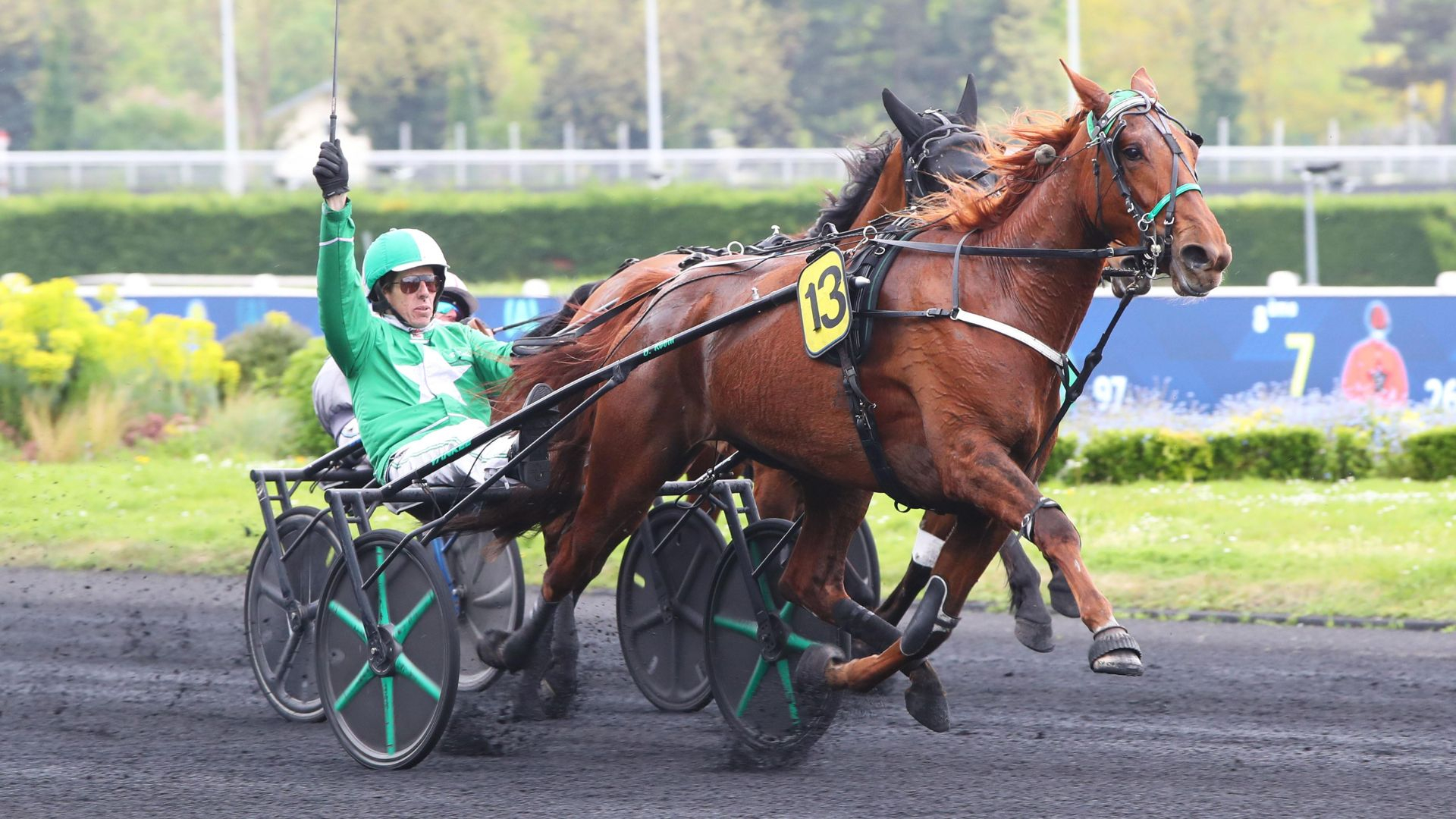 Lunella Leman - ©Scoopdyga