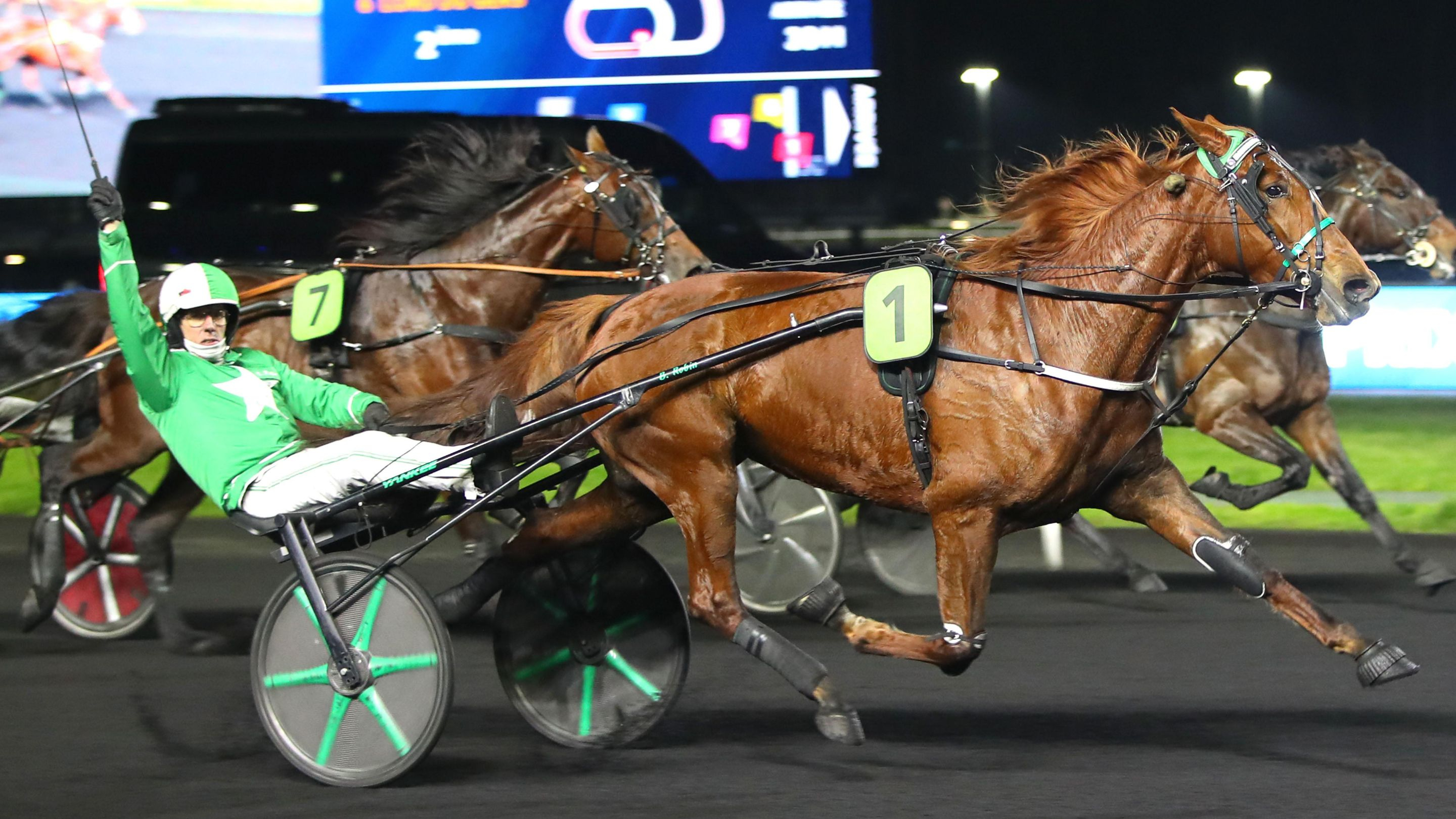 Lunella Leman - © ScoopDyga