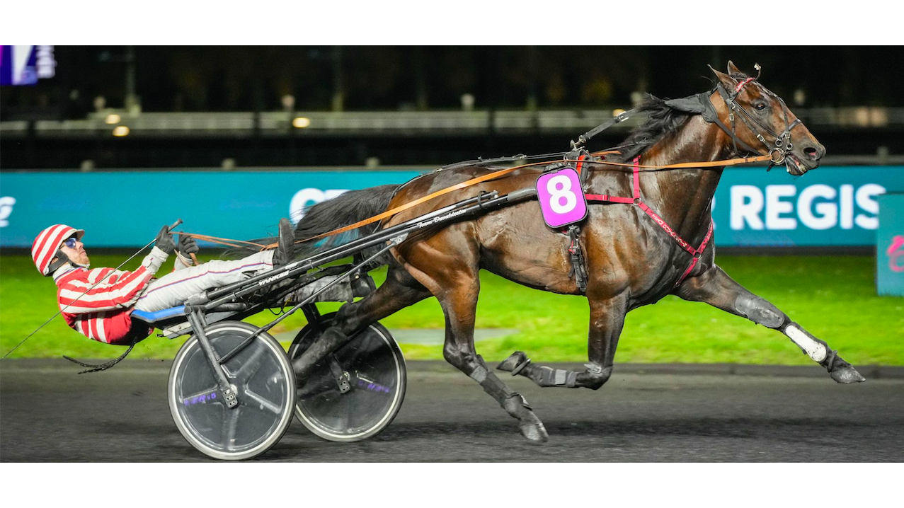 ©Scoopdyga - Mack de Blary