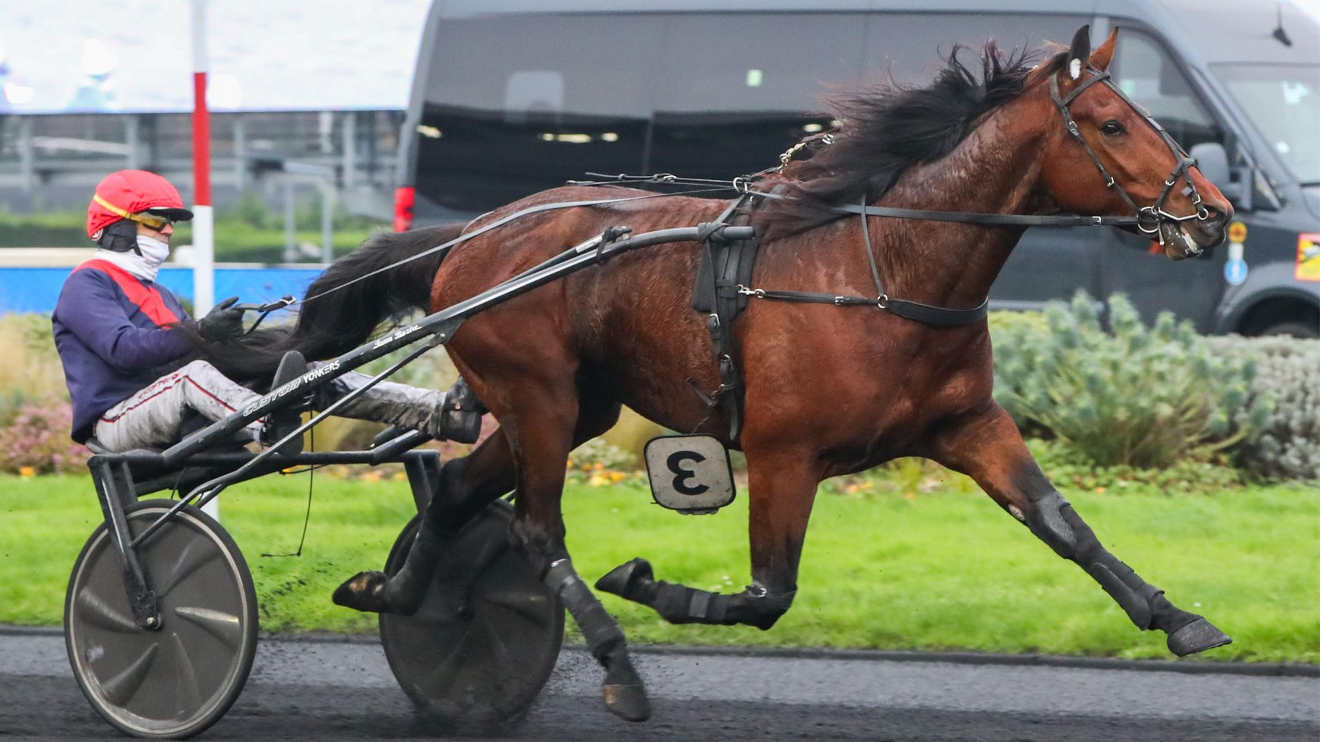 Madison Seven lors d'un succès à Vincennes - © ScoopDyga