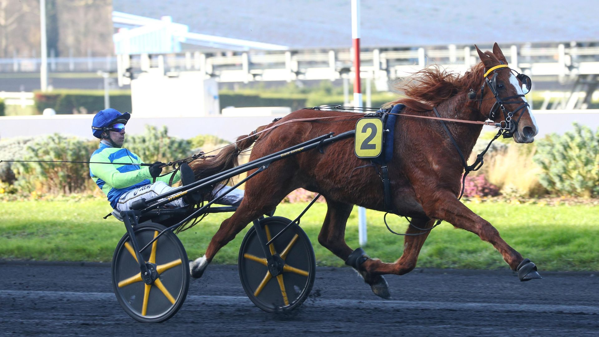 Madness Sam - ©Scoopdyga