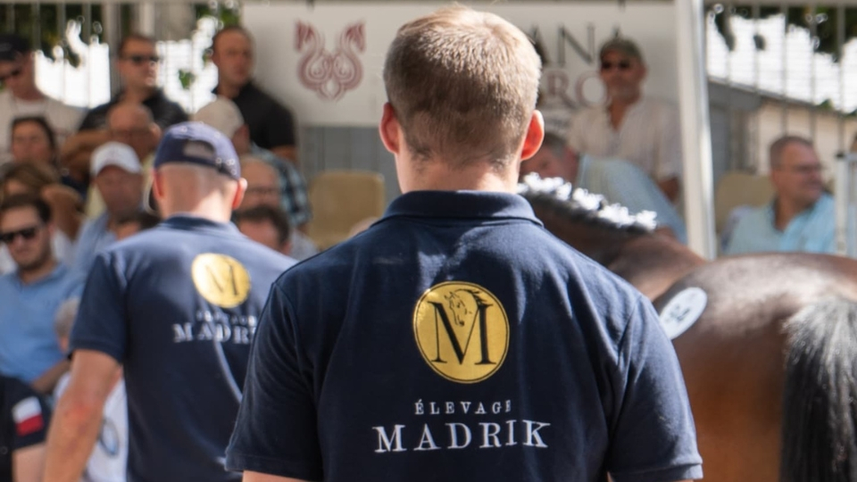 © Facebook Elevage Madrik