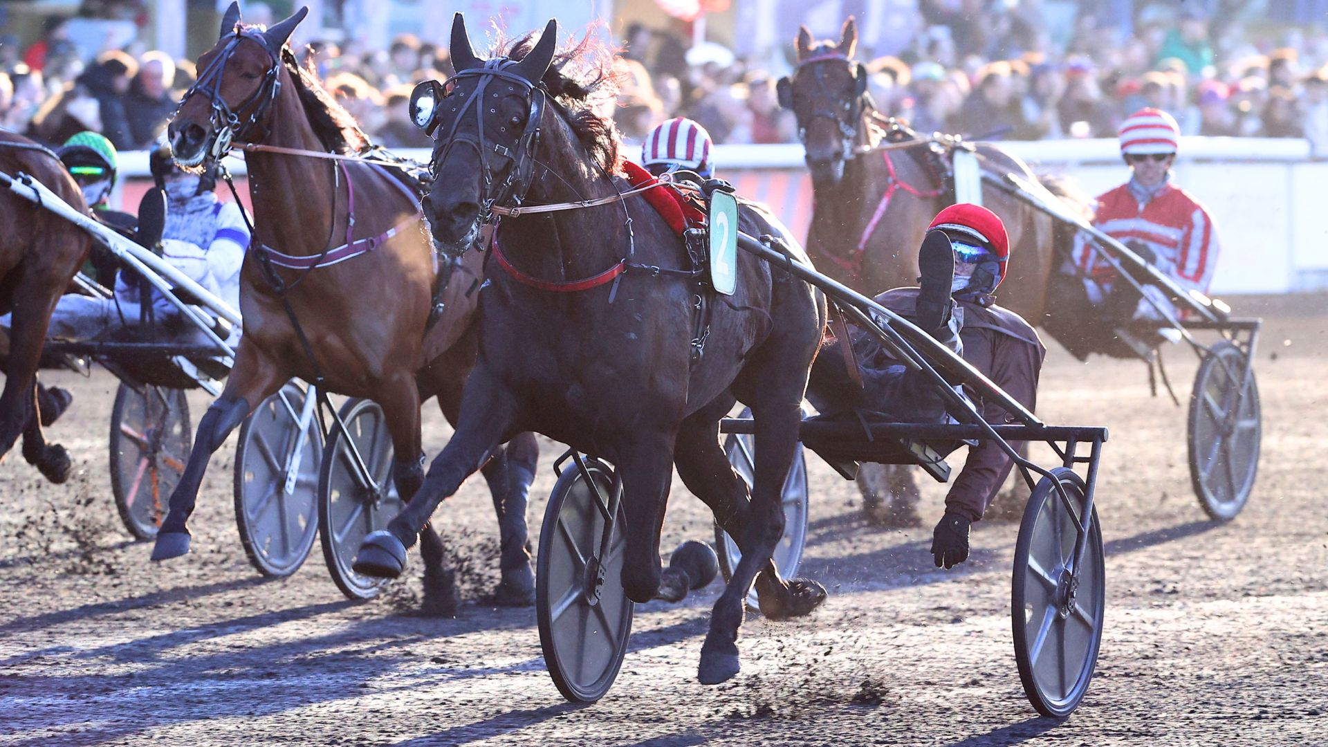 Maestro Vrie - ©Aprh