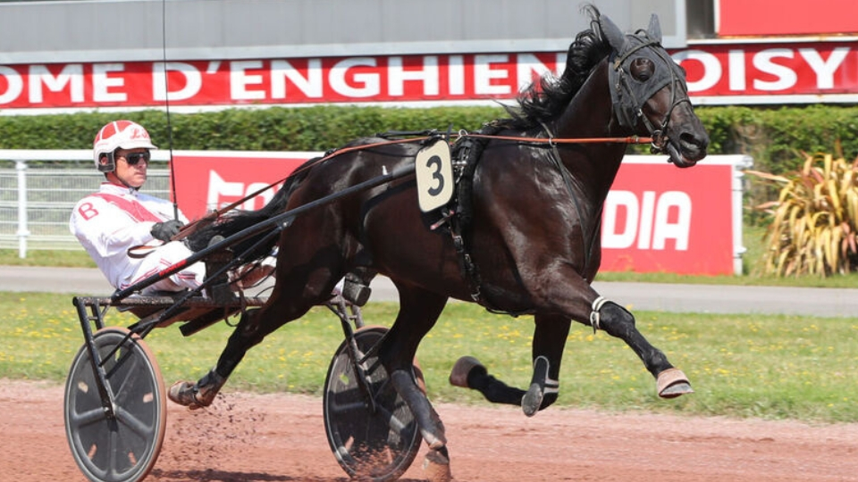 Brillant à l'automne, Maestro Vrie effectuera sa rentrée - © ScoopDyga