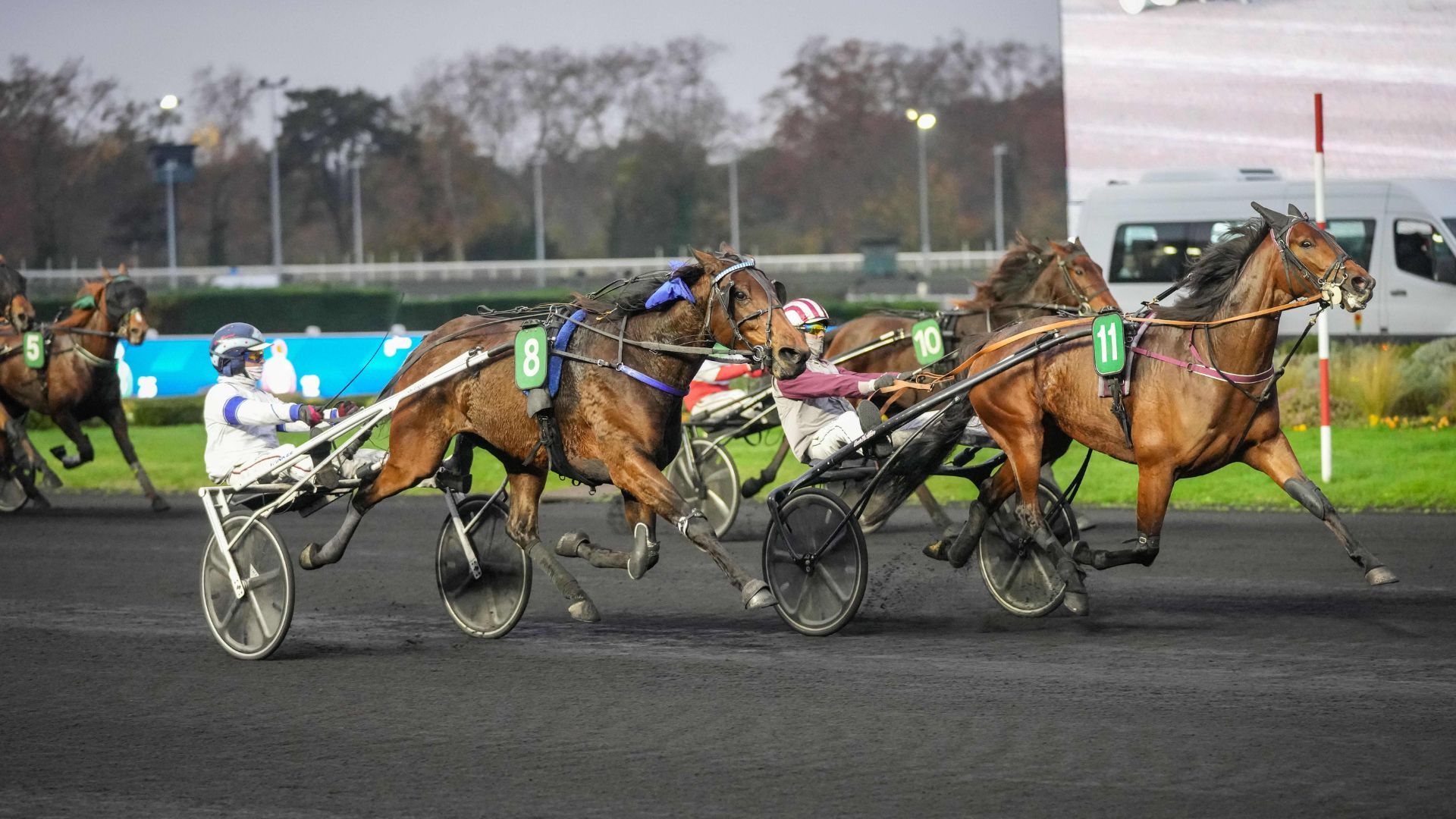 Magic Night - Madrid Haufor