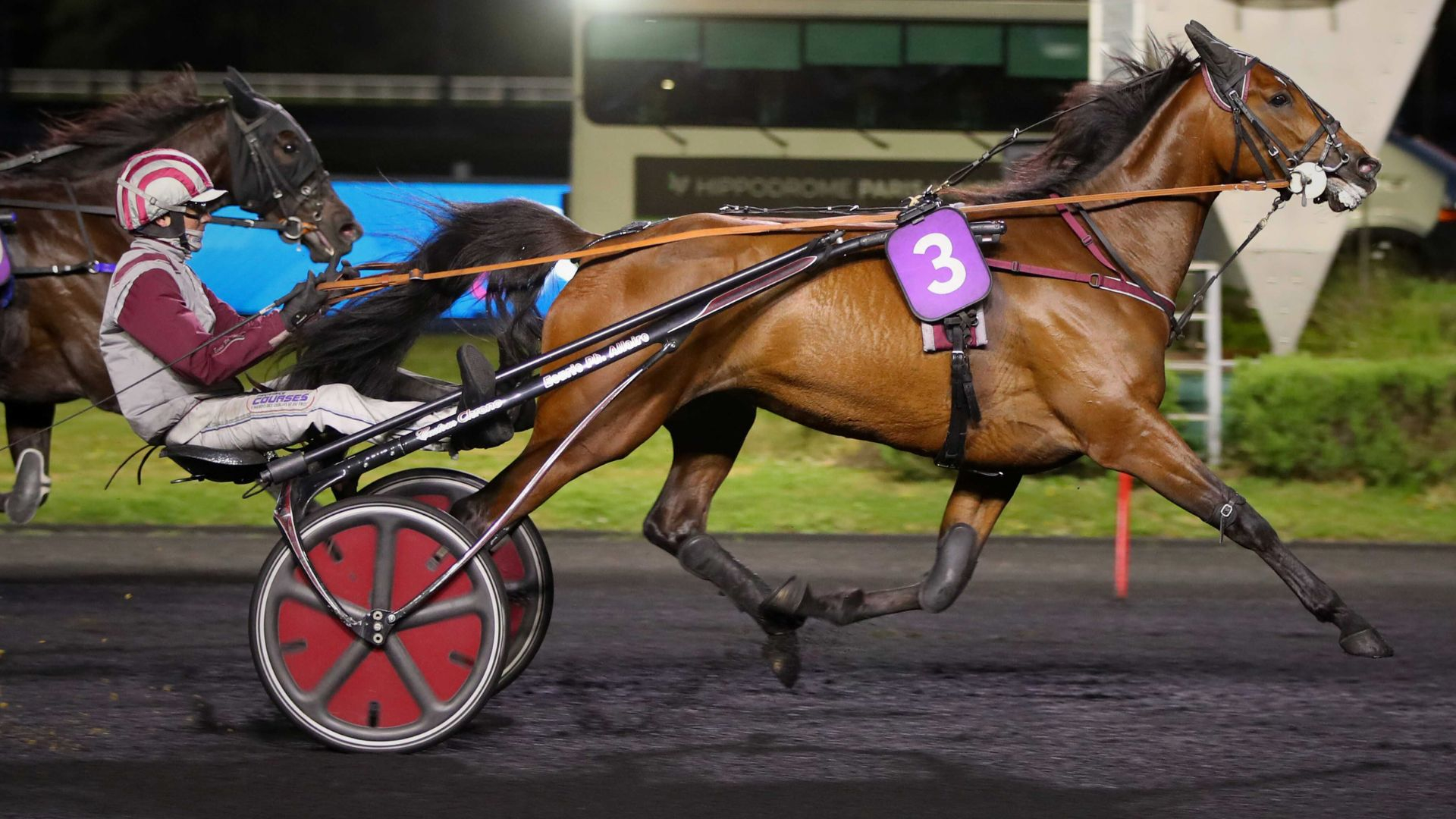 Magic Night - ©Aprh