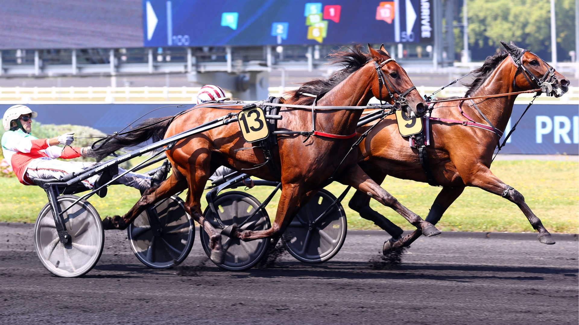 Magic Night - Mille Etoiles