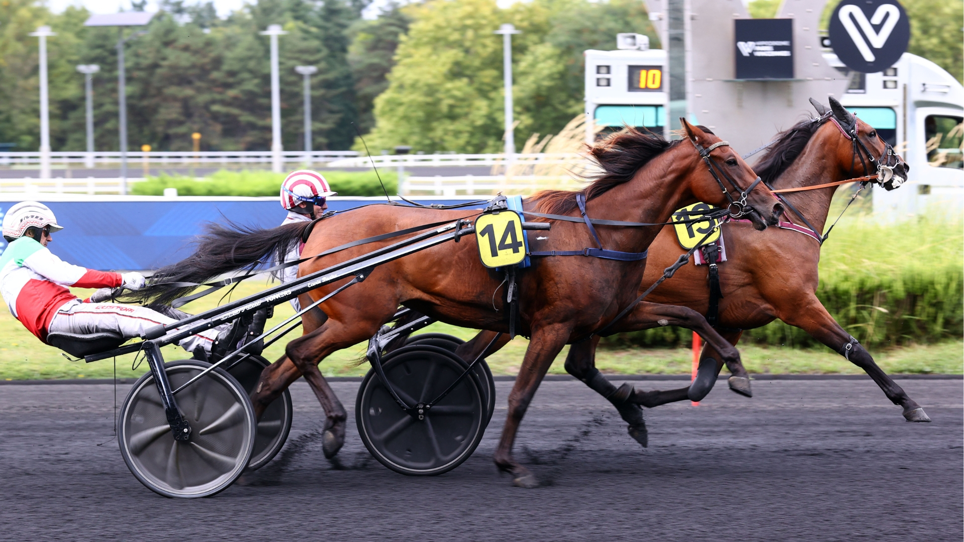 Magic Night - Mille Etoiles