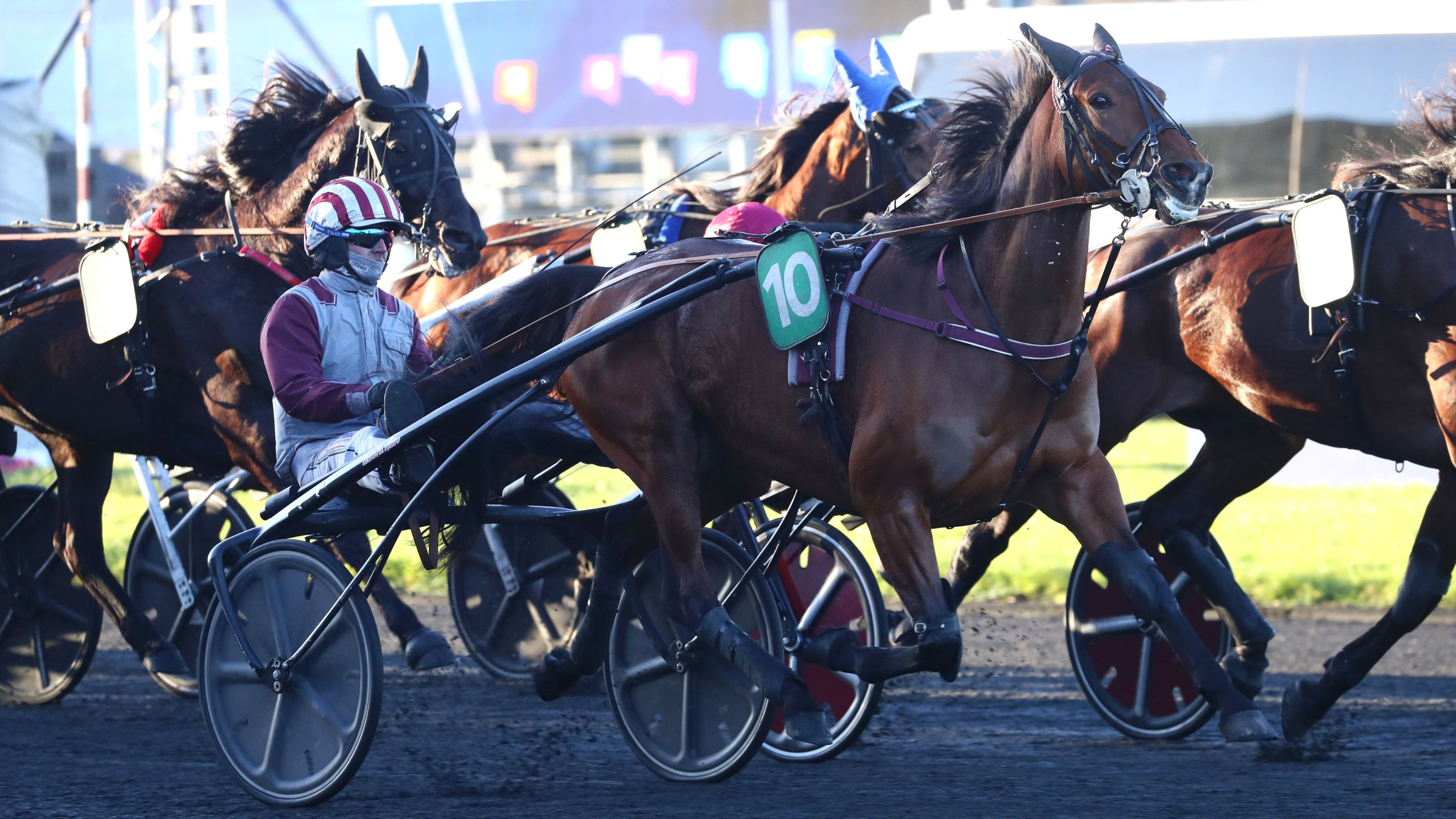 Magic Night - © Aprh