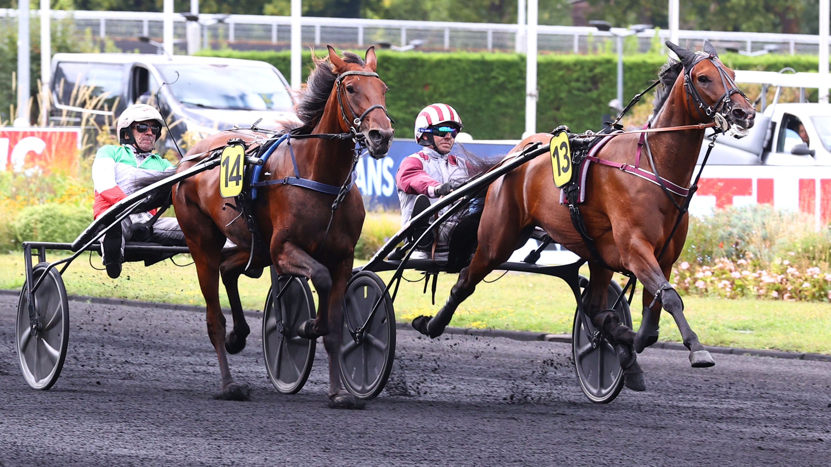 Magic Night - Mille Etoiles