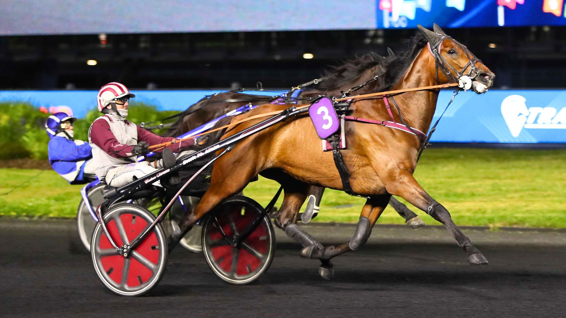 Magic Night - My Princess