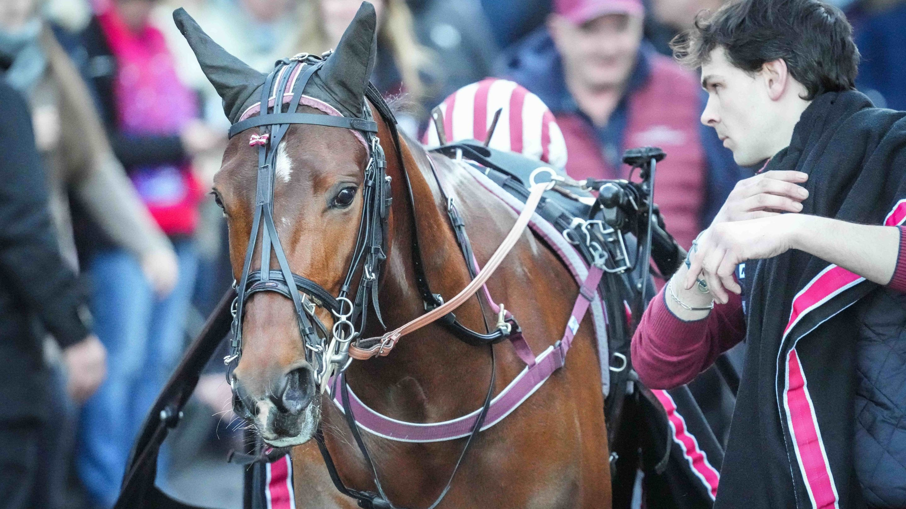 Magic Night - © Aprh